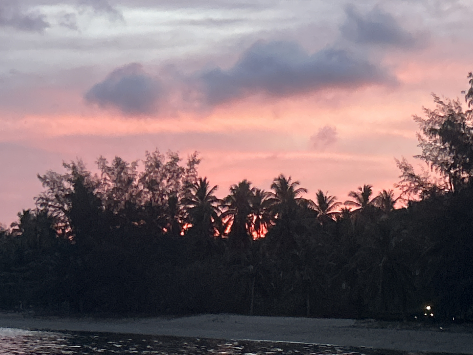 At dusk in Ban Bang Khao, Thailand, a view depicts the beach and ocean with a tree line. The sky presents a gradient of grey and pink, indicative of a sunset. The silhouetted treeline in the center is composed mainly of palm trees, with other trees intermixed. The beach is a strip of sand, and the ocean occupies the lower portion of the scene, with subtle light reflections on the water's surface. A light is visible at the edge of the beach.
