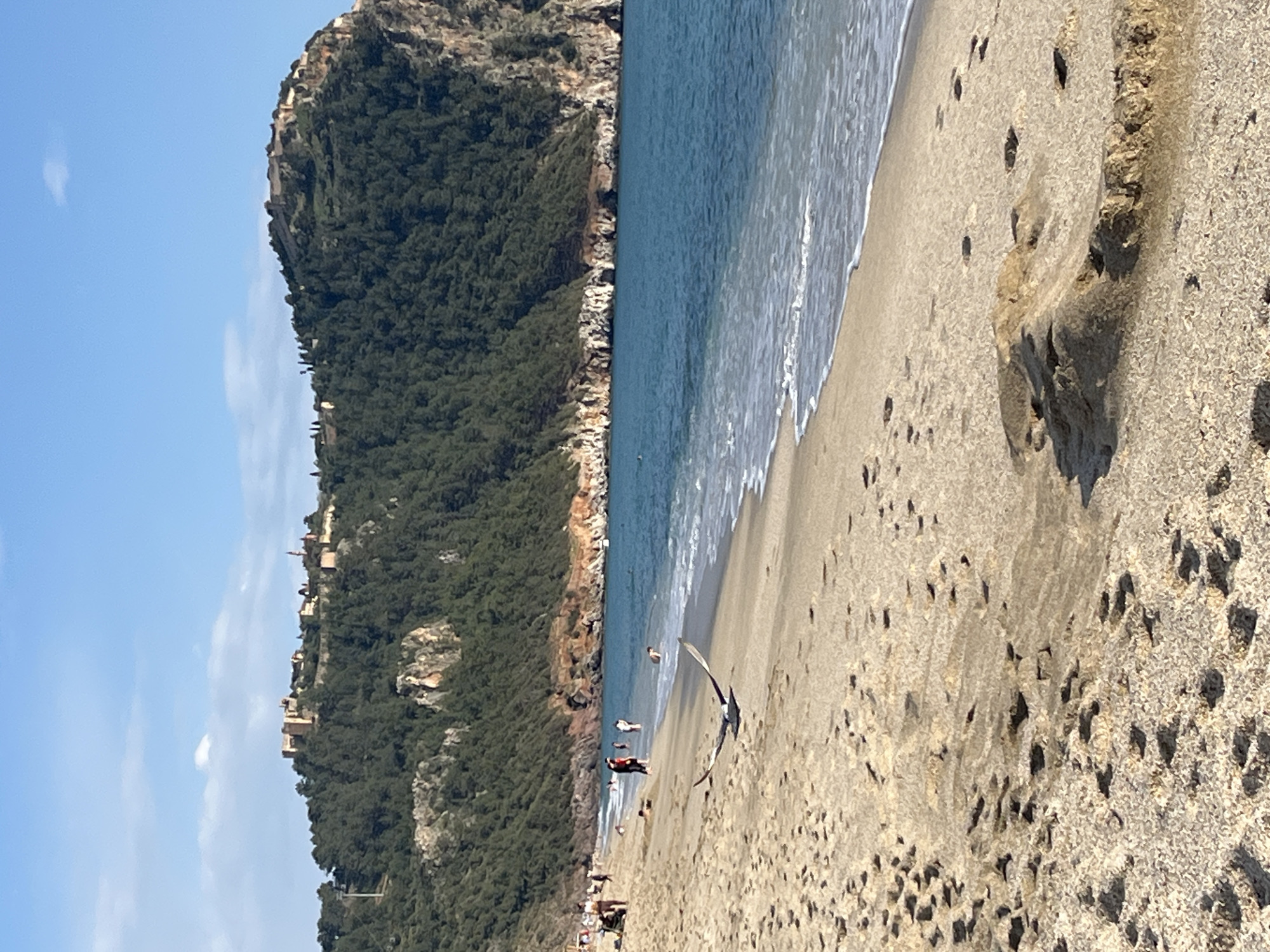 The image shows a beach in Alanya, Turkey, with a prominent headland covered in dense green trees. Buildings are visible on the upper part of the headland. The beach has light-colored sand, and the sea is a deep blue. Waves are breaking on the shore. Several people are on the beach. A bird is flying close to the ground. Numerous footprints are visible in the sand. The sky is blue with some clouds. The image has been rotated 90 degrees to the left.
