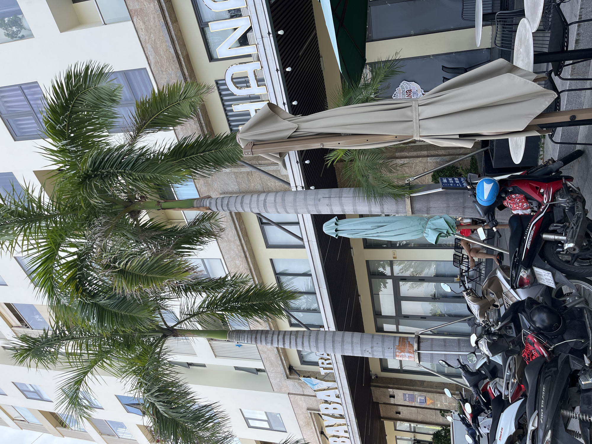 A daytime exterior shot captures a building facade in Nam Nha Trang Ward, Vietnam. Two prominent palm trees are positioned in the foreground, with one leaning towards the right. The building features several floors with numerous windows and balconies. A sign displaying "BAYBAY TRA" in large white letters is mounted above the ground floor shops. On the right side of the building, a sign with white letters reads "HANG". Parked motorbikes are visible in the lower portion of the image. Several outdoor tables and chairs are set up near the building, with a person seated at one of them. Umbrellas, some folded and one open and teal-colored, are placed near the seating area. The overall scene depicts a commercial area with a tropical ambiance.
