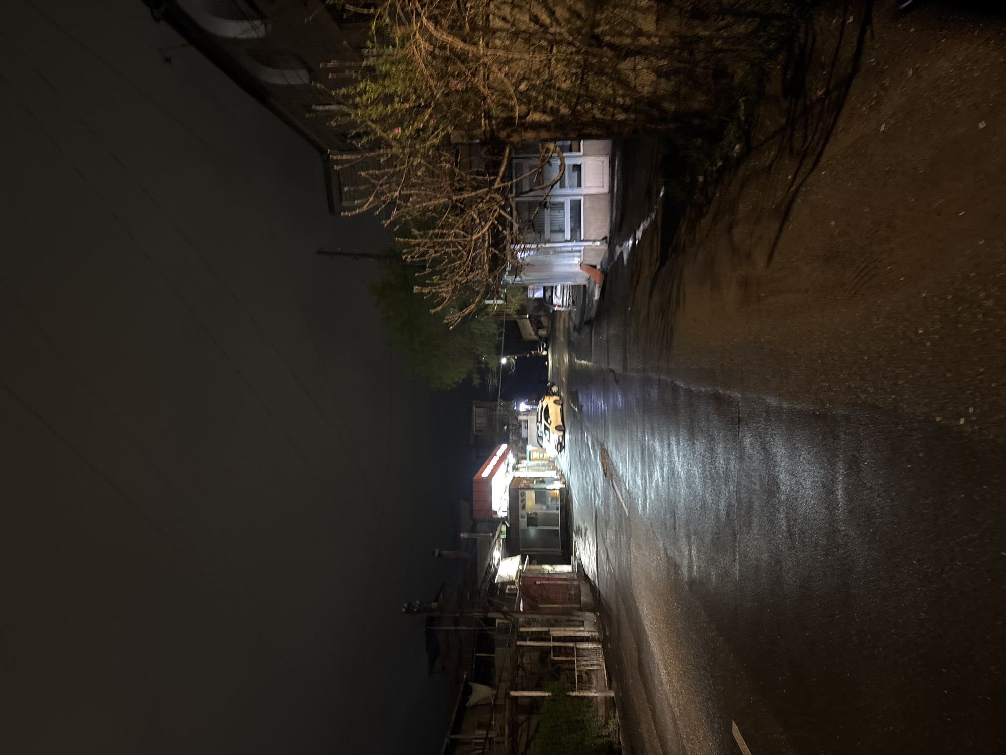 The image shows a street scene at night in Yerevan, Armenia. The road is wet, reflecting the light from street lamps and a brightly lit storefront on the left side of the road. A taxi is visible further down the street. Buildings of varying heights and architectural styles line the street, some appearing old and others more modern. A bare tree branch overhangs the road in the upper right. The sky is dark and overcast. There are no people clearly visible in the image.