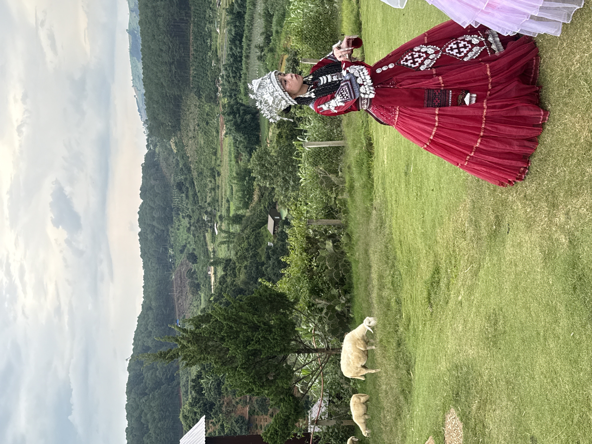 The image depicts a young woman in traditional Hmong attire, standing in a grassy field with sheep grazing in the background. The woman wears a vibrant red dress with intricate silver embellishments and a large, ornate silver headdress. Her hair is styled in long braids, and she wears elaborate silver jewelry on her hands. The background features rolling hills covered in dense green forest, with scattered farmhouses and terraced fields visible. The sky is overcast with dramatic clouds. The location is Thôn 5, Vietnam, a rural area characterized by its natural beauty and agricultural landscape. The scene appears to be a cultural event or photoshoot set against the backdrop of the Vietnamese countryside.