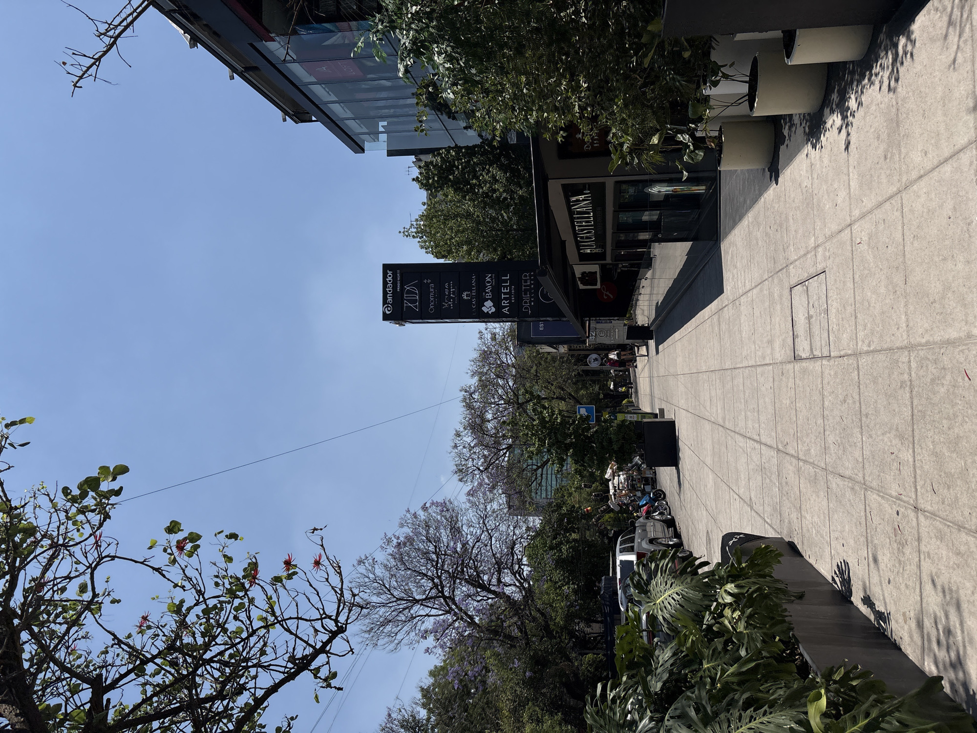 Here's a detailed description of the image:
**General Scene:**
The photograph depicts a street scene in Mexico City, Mexico. It appears to be a commercial area with shops and businesses lining the sidewalk.
**Environment:**
The weather appears sunny. There are trees lining the street, some of which are in bloom with purple flowers. The architecture consists of modern buildings with glass facades, as well as more traditional structures.
**Objects and Structures:**
* **Signage:** A tall, prominent sign displays a list of businesses in the area, including "Candador Prado Norte", "Zoda", "Onomura", "Bayon", "Artell", and "Drifter".
* **Sidewalk:** A concrete sidewalk runs along the edge of the street.
* **Buildings:** Buildings with glass facades and shops at street level line the sidewalk.
* **Vehicles:** Parked cars and motorcycles are visible along the street.
* **Plants:** Large planters with trees and foliage are placed along the sidewalk.
* **Street Lamp:** A street lamp is visible along the sidewalk.
**People:**
There are a few people visible in the distance walking along the sidewalk.
**Actions and Interactions:**
There are no specific actions taking place in the foreground. The scene appears to capture a normal day in a commercial district, with pedestrians walking and vehicles parked.