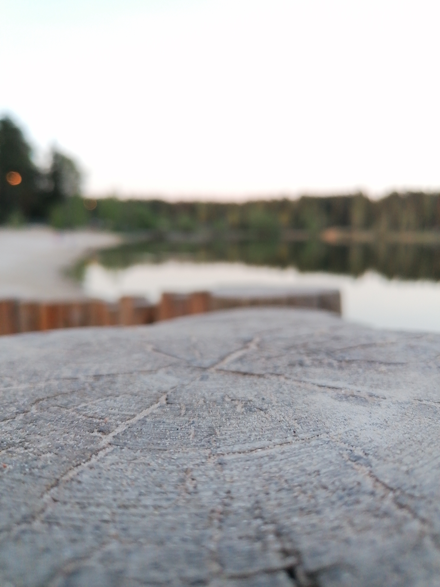The image shows a close-up view of a wooden surface, likely a stump or dock edge, with the wood grain and texture visible. In the background, there is a blurred landscape that appears to be a lake or body of water surrounded by trees. The scene is illuminated by a soft, muted light, suggesting it might be dawn or dusk. There are also some blurry brown wood piles in the middle ground. The location is Unknown, Unknown.