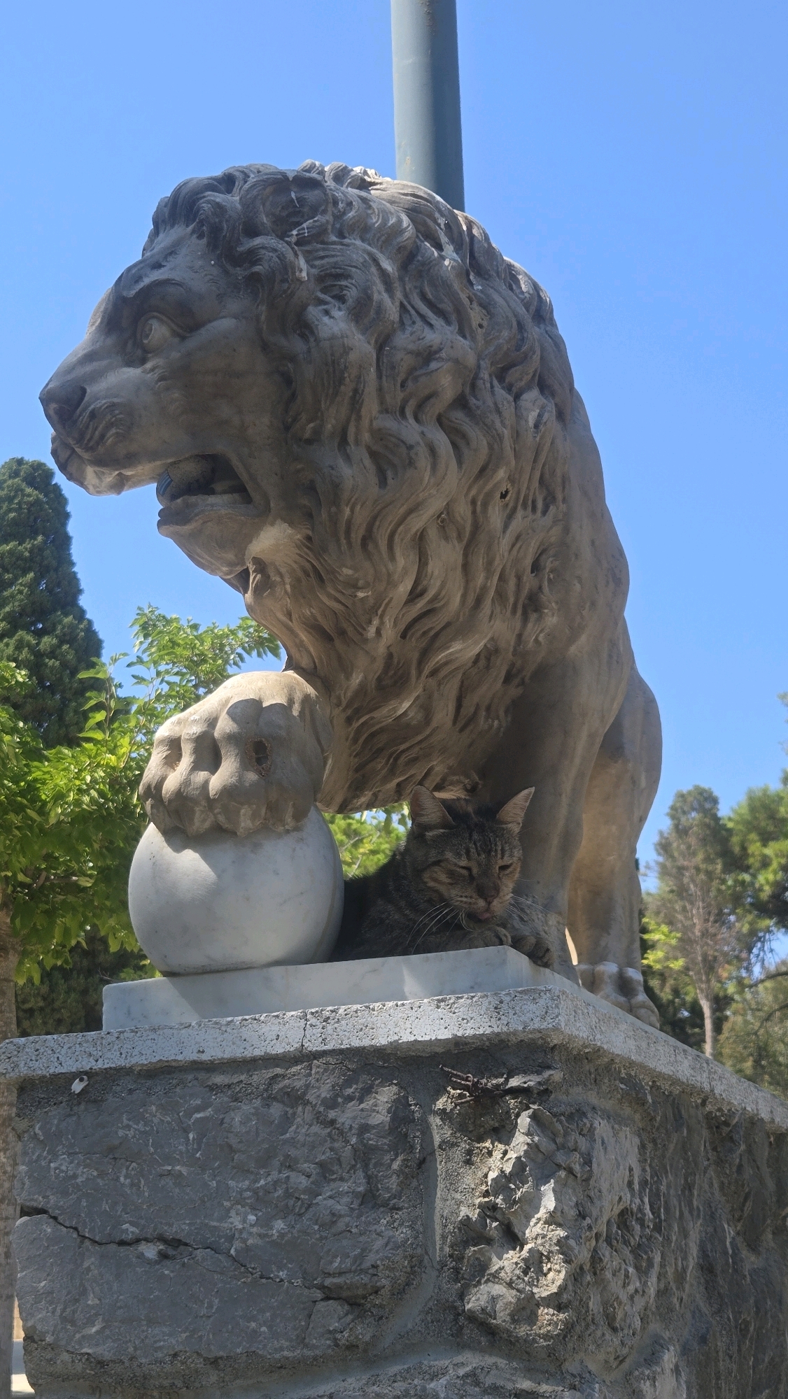 A tabby cat is resting in the shade of a stone lion statue located on a stone pedestal. The cat is lying down with its eyes partially closed and its tongue sticking out slightly. The lion statue is a large, imposing sculpture with its paw resting on a sphere. The background shows lush green trees and a clear blue sky. The scene appears to be outdoors, possibly in a park or public square in the Municipal Unit of Rhodes, Greece. The lighting suggests it is daytime with bright sunlight.