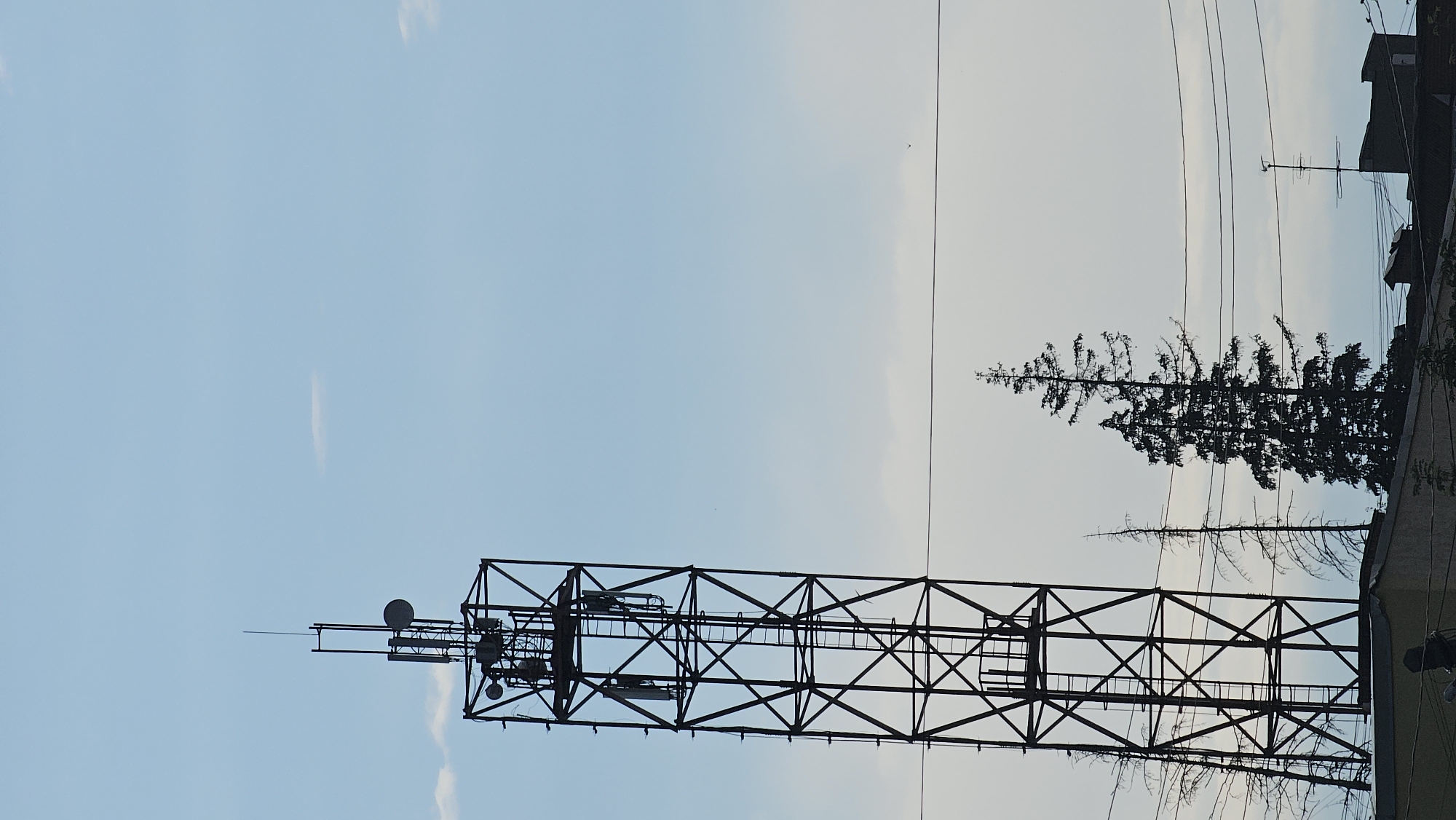 The media file displays a telecommunications tower and a silhouetted evergreen tree against a pale blue sky. The tower, a tall lattice structure, is in the foreground and appears to be equipped with antennas and dishes. In the background, a thin, tall evergreen tree is silhouetted against the sky, along with power lines and a portion of a building on the right. The sky suggests it is either early morning or late evening. The overall scene is quiet and industrial. There is no visible text in the image.