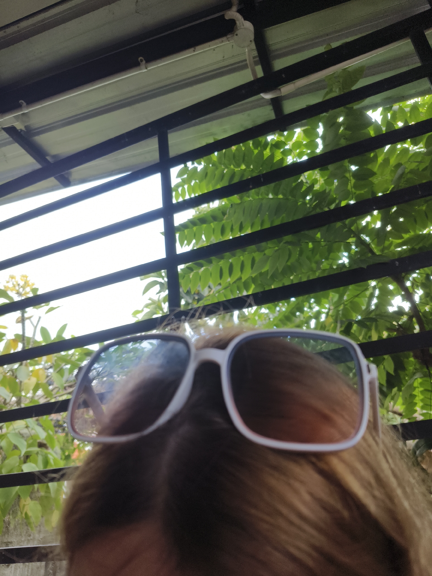 A close-up, low-angle shot shows the top of a person's head, partially obscured by white-rimmed sunglasses. The person's hair is brown and slightly wavy. Behind the person, a black metal grate separates the viewer from a bright sky and lush green foliage. The scene appears to be outdoors, possibly under a covered patio or balcony, with sunlight filtering through the leaves and illuminating the scene. The location is Kuta Selatan, Indonesia.