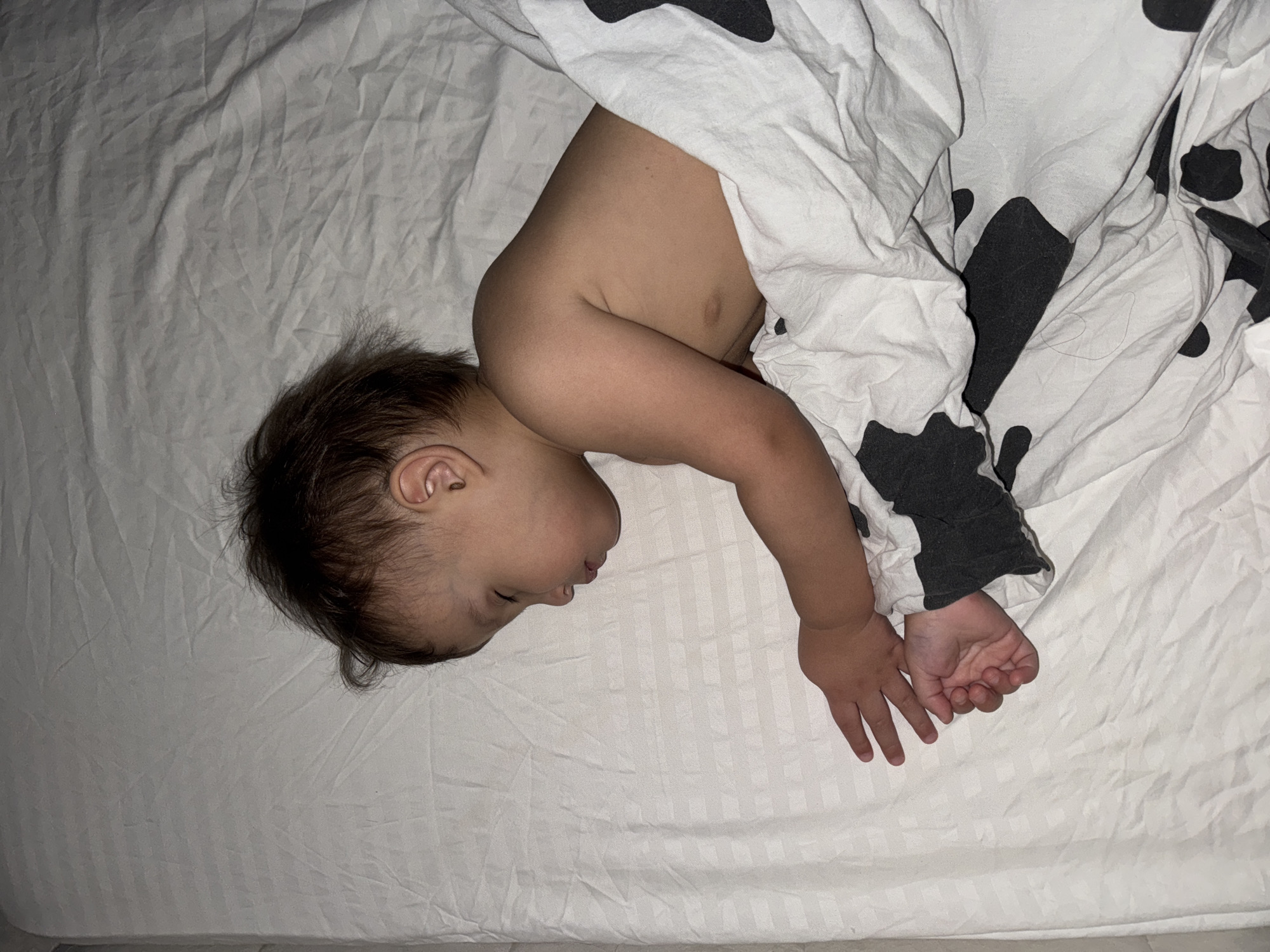 A child sleeps on a white, horizontally-striped bed sheet under a white blanket with black cow-like spots. The child is lying on their side with their head facing the left side of the image, and their body angled diagonally towards the upper right corner. The child's head is turned towards the viewer, revealing their face. Their left arm extends out of the blanket, and their hand is visible. The location is indeterminable from the image.