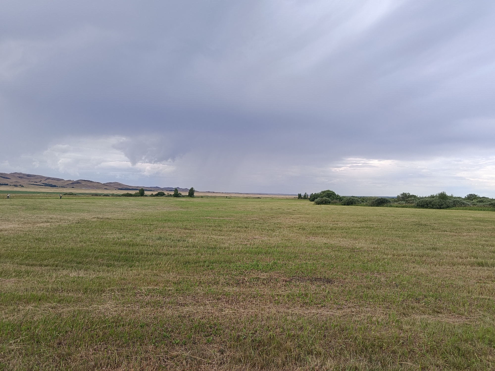 The image depicts a wide, open grassy field under a dramatic sky with heavy, dark clouds. In the distance, rolling hills are visible, some with sparse vegetation and a lighter, tan color, contrasting with the green field. A line of trees forms a boundary along the horizon in several places. There are a few scattered figures in the field, appearing as small dots, possibly people engaged in distant activities. The sky is characterized by an overcast and possibly stormy condition, with a distinct area of rain or a downpour visible in the middle distance towards the left. The foreground is dominated by the textured, dry and green grass of the field. The scene appears to be a rural or semi-rural landscape located near Imeni Tel'mana Nomer Tretiy, Kazakhstan.