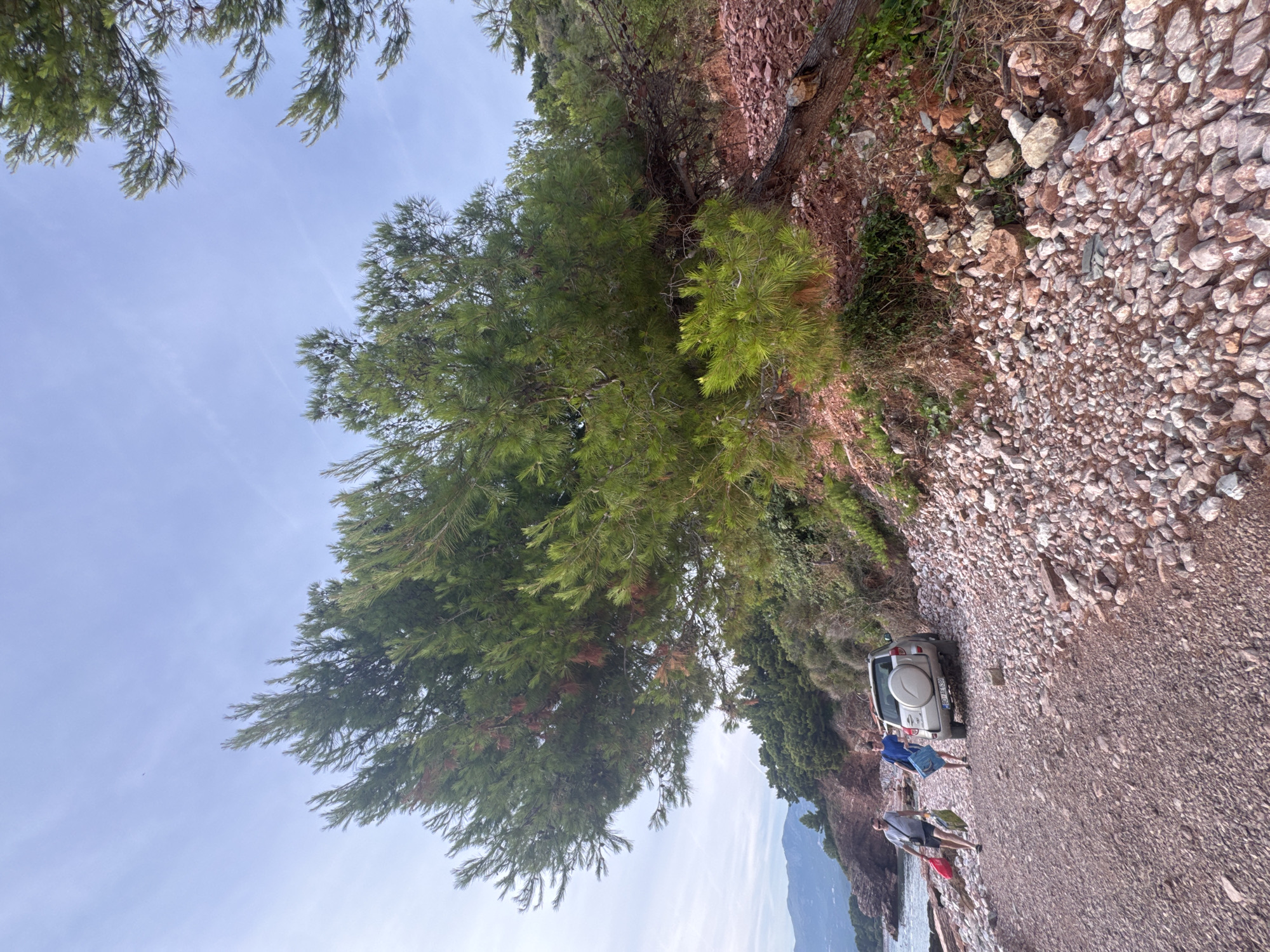 In Kamenovo, Montenegro, two men are walking on a rocky beach near a silver SUV parked on the side of the road. The man on the left is wearing a blue shirt and sunglasses, carrying a red bag and a yellow and green patterned bag. The man on the right is wearing a blue t-shirt and carrying a blue bag. The SUV has license plate "BD AF 539". A large pine tree with green needles is growing over the road, its branches extending over the rocky terrain. The background shows a body of water and distant hills under a cloudy sky. The ground is covered with small, light-colored pebbles and some red soil.