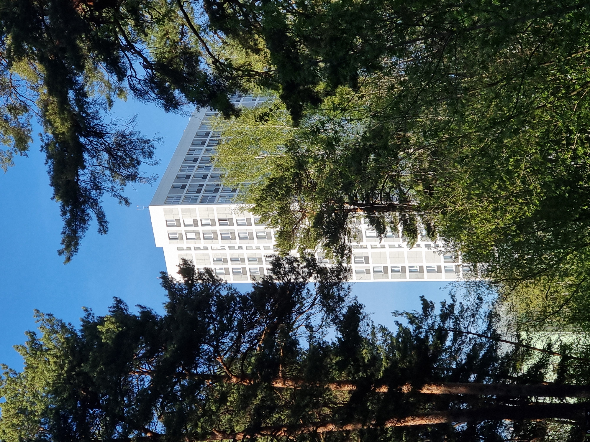 The image shows a tall, white building with many windows, seemingly viewed from below through the branches of trees. The sky is visible in the upper left and lower center, indicating the perspective. The architectural style of the building, with its grid-like window arrangement, suggests a modern or late-modern design. The dense foliage of the trees framing the building creates a contrast between the urban structure and the natural environment. The image is taken in the city of Perm, Russia, where buildings are known for this style.