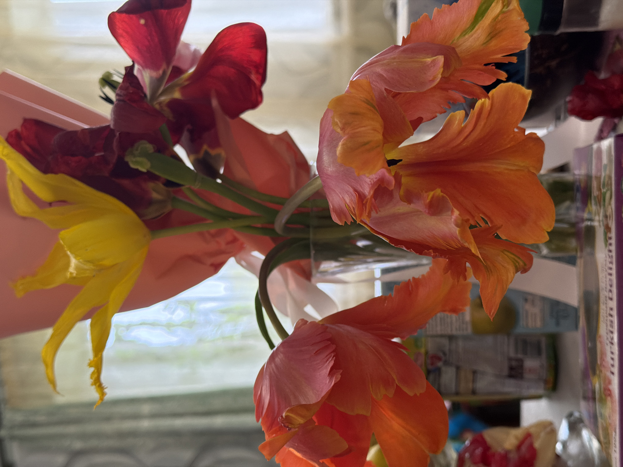A vase of tulips in a room. There are orange, red, and yellow tulips. The background shows a window and various items on a shelf. It is not possible to verify the specific location of Komsomolskiy, Russia from the image.