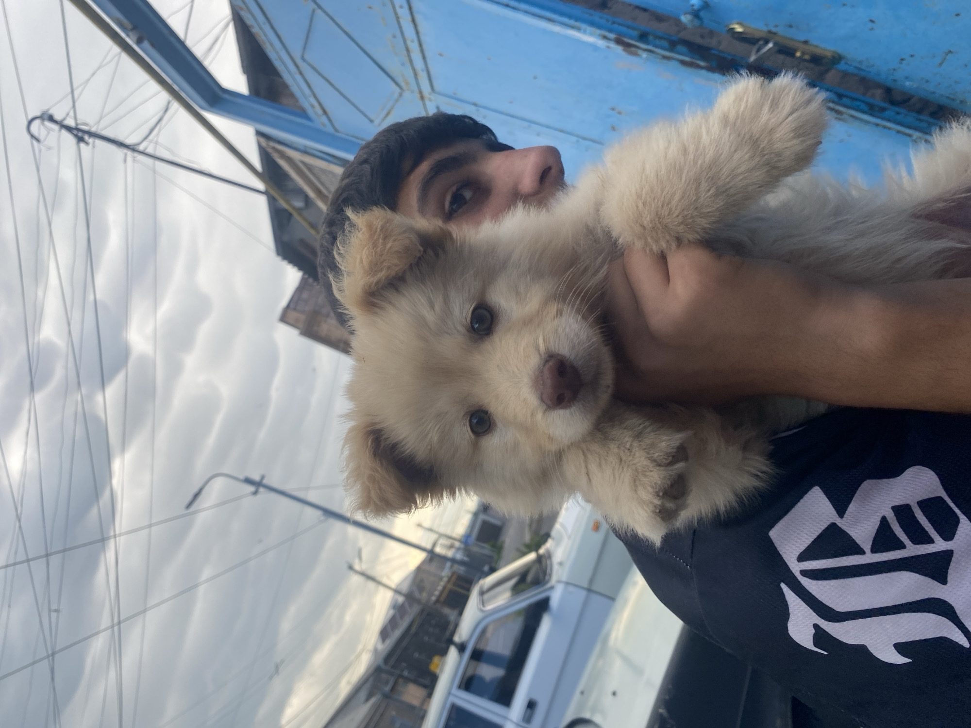 A person holds a light-colored fluffy puppy in their arms. The puppy has light brown eyes and a light brown nose. The person's face is partially visible behind the puppy, with dark hair and brown eyes. They are wearing a dark shirt with a white emblem on the sleeve. In the background, there is a white car, a blue metal door, and a cloudy sky with overhead wires and utility poles. The scene appears to be in an urban or suburban outdoor setting.