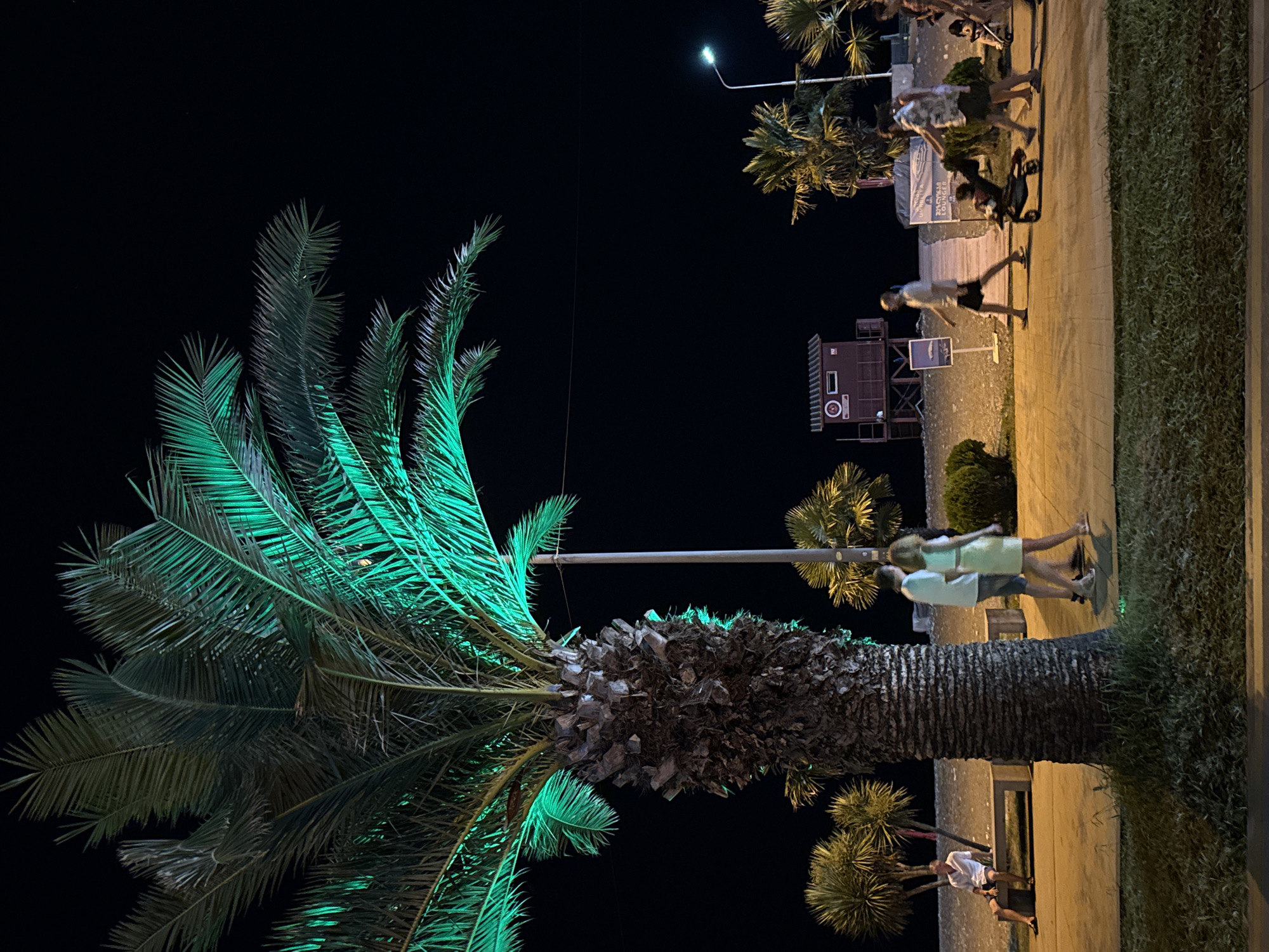 A night scene unfolds on a paved promenade adjacent to a beach. A large palm tree, illuminated with green light from its fronds downwards, dominates the left side of the frame. In the background, a lifeguard tower stands near the beach, and several other palm trees are visible. Several people are present: a man sits on a bench on the left, facing away from the camera. Two individuals walk together on the promenade, followed by another pair, one pushing a stroller with a child. Further to the right, a group of people are visible. A street lamp shines on the right side of the image. The sky is dark and clear.