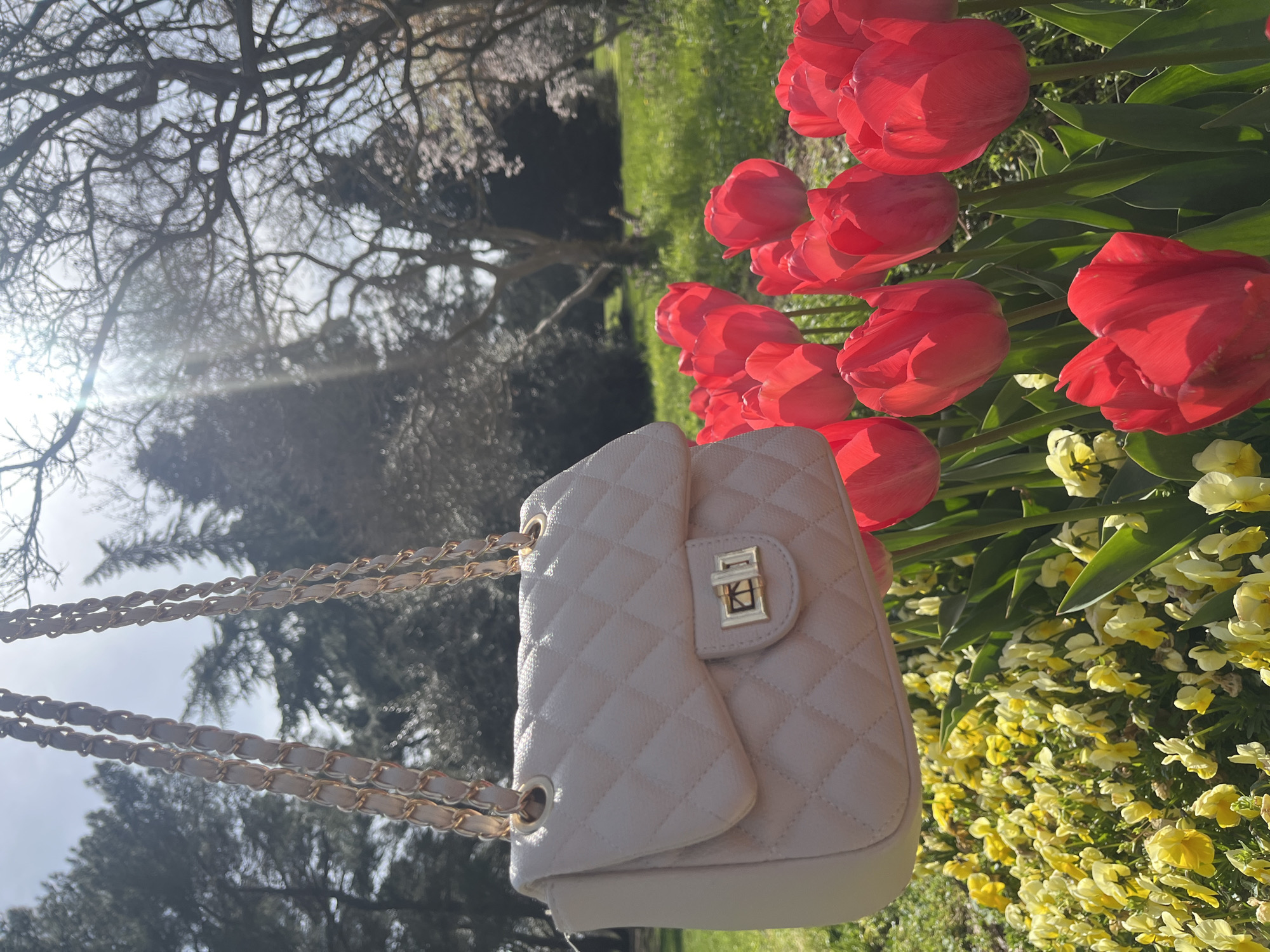 The image shows a light-colored, quilted handbag with a gold chain strap. The bag is positioned against a backdrop of red tulips and yellow pansies. In the background, there are trees and grass. The location cannot be determined based on visual information alone, and therefore, its potential location in the city of Varna, Bulgaria, is unknown.