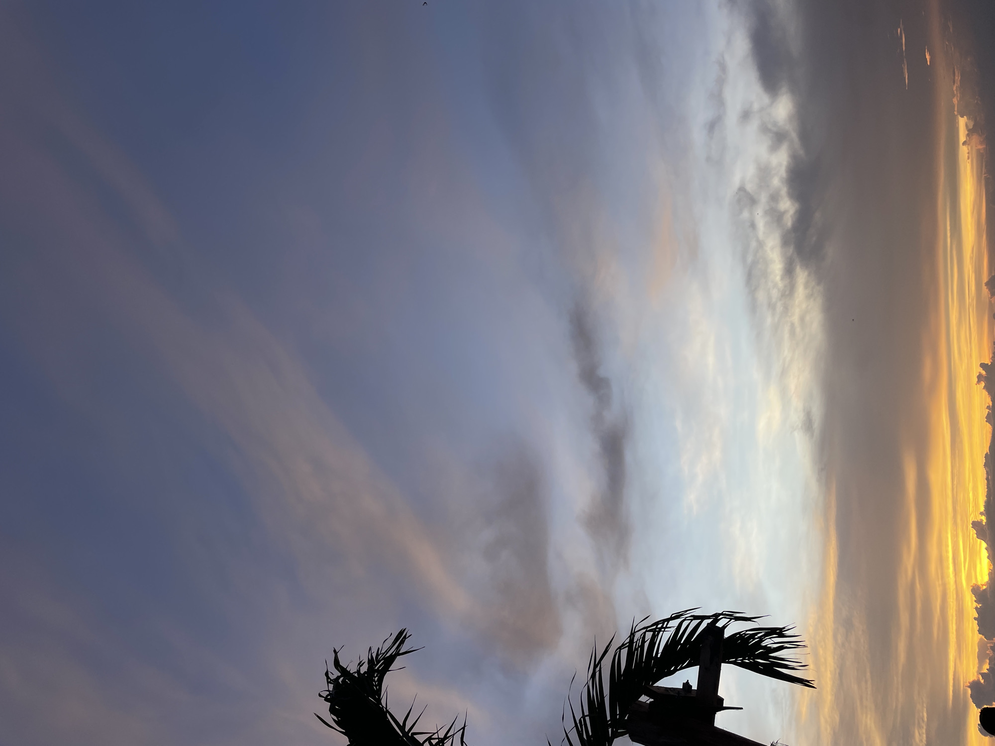 The image shows a twilight or sunset scene in Choeng Thale, Thailand. The sky is a mix of blue, light grey, and orange hues, indicative of the sun setting or rising. Silhouetted palm trees occupy the lower portion of the frame. The orientation of the image is vertical.