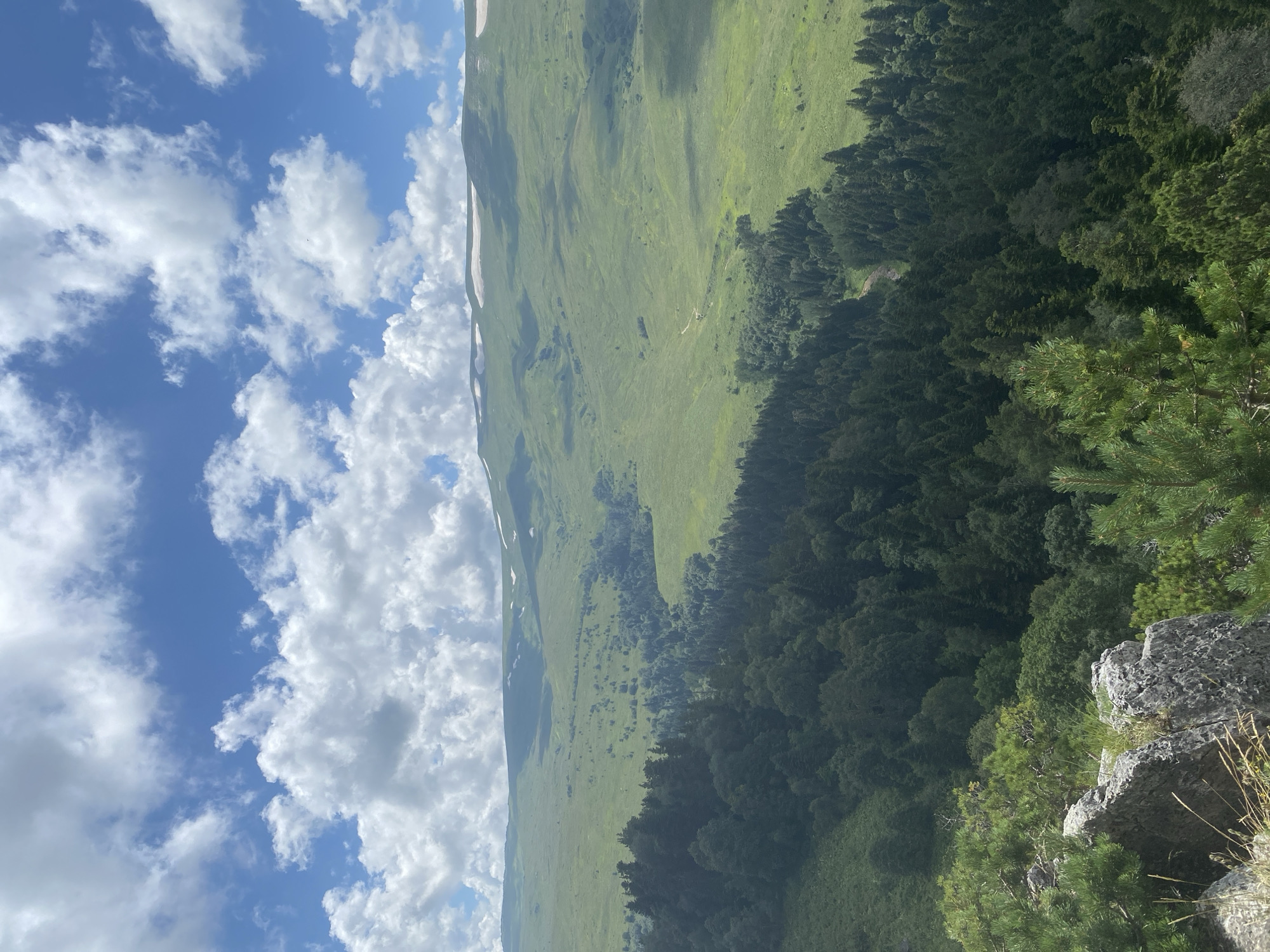 The image depicts a vast mountainous landscape under a bright, partly cloudy sky. In the foreground, there are large grey rocks with some green vegetation growing on them, and a few pine branches. Beyond the rocks, a dense forest of dark green coniferous and deciduous trees stretches across a valley. Further in the distance, rolling green hills rise, dotted with scattered trees and a winding path. The highest peaks in the background are partially covered with patches of snow. The scene is serene and natural, with no visible human presence or activity. The location is described as being in Kamyshanov, Russia, suggesting a natural, possibly mountainous region within or near that city.