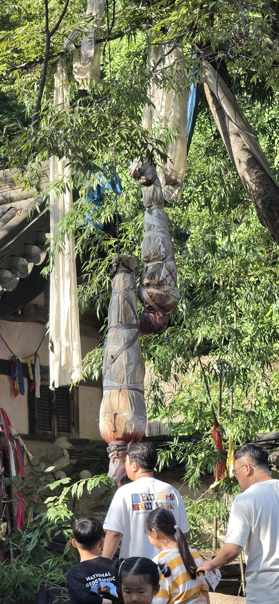 In the city of Yongin-si, South Korea, two bundled objects hang from tree branches, shrouded in light-colored fabric and secured with rope. The objects appear to be of significant size, with one distinctly larger and positioned above a smaller one. The larger bundle exhibits dark, reddish staining on its lower portion, suggesting the presence of organic material. Both bundles are tied with what seem to be coarse ropes or bands.
Below these suspended items, a group of individuals are gathered. Two adult males, facing away from the camera, are prominent in the foreground. One is wearing a white t-shirt with the text "NEW YORK" printed in colorful lettering. To his right, another adult male, also facing away, wears a white t-shirt. In front of the adults, three children are visible. One child, facing away, wears a black t-shirt with the "NATIONAL GEOGRAPHIC" logo. Another child, a girl with a ponytail, is seen from the back, wearing a striped yellow and white shirt. A third child, a young girl, is partially visible in the foreground, facing the camera.
The environment is lush and green, with dense foliage from trees surrounding the scene. Sunlight filters through the leaves, casting dappled shadows. To the left of the image, a traditional-looking building with a dark, tiled roof and a small window is visible. Colorful prayer flags or streamers hang near the building, adding a touch of cultural context to the setting. The ground appears to be paved or covered with gravel. The overall impression is that of an outdoor gathering in a setting that combines natural elements with elements of traditional Korean architecture and cultural practices.