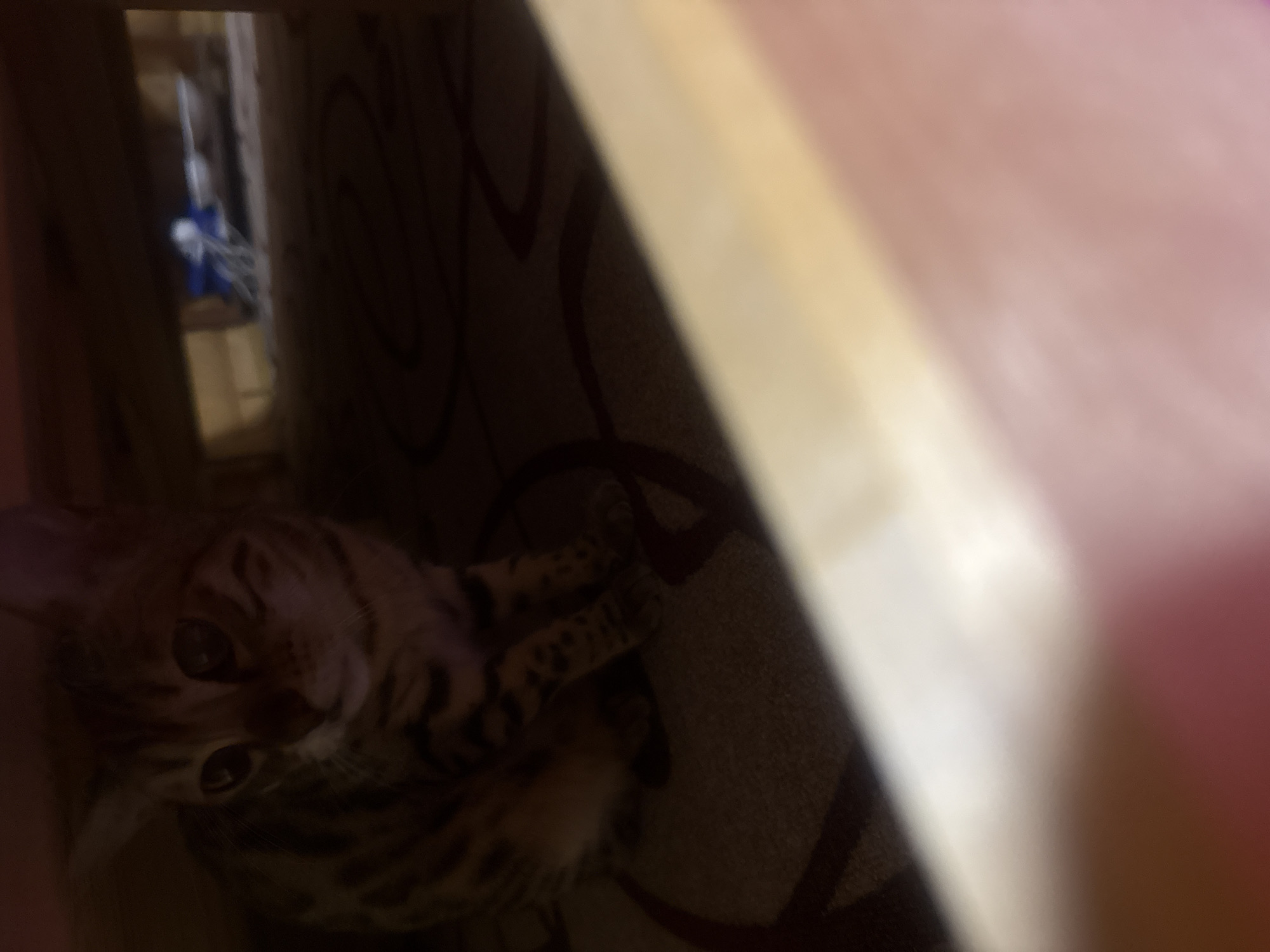 An indoor scene depicts a single domestic cat with a distinctive rosetted tabby pattern, consistent with a Bengal breed. The cat is seated on a patterned carpet or rug, which features dark, curvilinear motifs on a lighter, muted background. Its head is slightly turned to the left, and its eyes are open and alert, indicating it is observing something outside the frame to the left. The scene is dimly lit, with shadows prevalent throughout. The cat is situated underneath an unseen piece of furniture, with the lower edge of the furniture framing the upper background. In the deeper background, under the furniture, an indistinct blue object with white string-like elements is partially visible. The foreground is heavily blurred by a light-colored, out-of-focus object or surface, positioned very close to the camera lens. The photograph is taken from a low perspective, looking into an enclosed space. The location is an unknown indoor residential setting within the city of Unknown, Unknown.