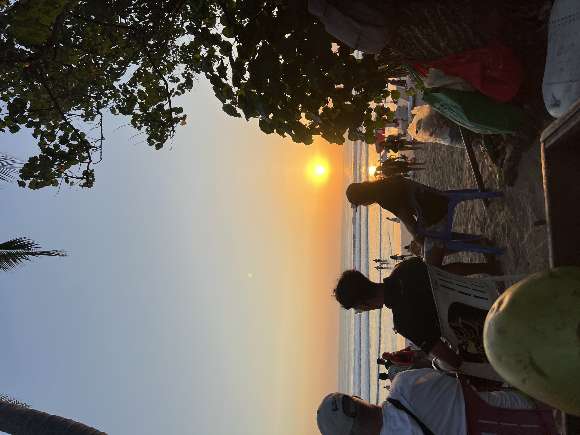 A sunset scene is depicted at Kuta Beach, Indonesia. The sun, a bright orange orb, is low on the horizon, casting a warm glow over the ocean and the sky, which transitions from pale yellow to blue. Gentle waves roll onto the sandy shore.
In the foreground, three people are visible from behind, seated on chairs and facing the ocean. The person on the left wears a light-colored cap and a white top. The middle person is seated in a white plastic chair, wearing a dark shirt and patterned shorts. The third person to the right is seated in a blue plastic chair, with their back to the camera.
Further back on the beach, numerous individuals are scattered, some walking, some standing, and some appearing to be in the water. Beach umbrellas and lounge chairs are visible in the midground.
On the right side of the frame, the dense foliage of a tree partially obscures the view. Various bags, including a green and a red one, are hung from a tree trunk or leaning against it. Some gardening tools, like a rake, are also present on the sand. A large, light green coconut is prominent in the lower left corner of the image, partially obscuring the view of the person seated on the left. The overall atmosphere is one of a relaxed beach setting during dusk.