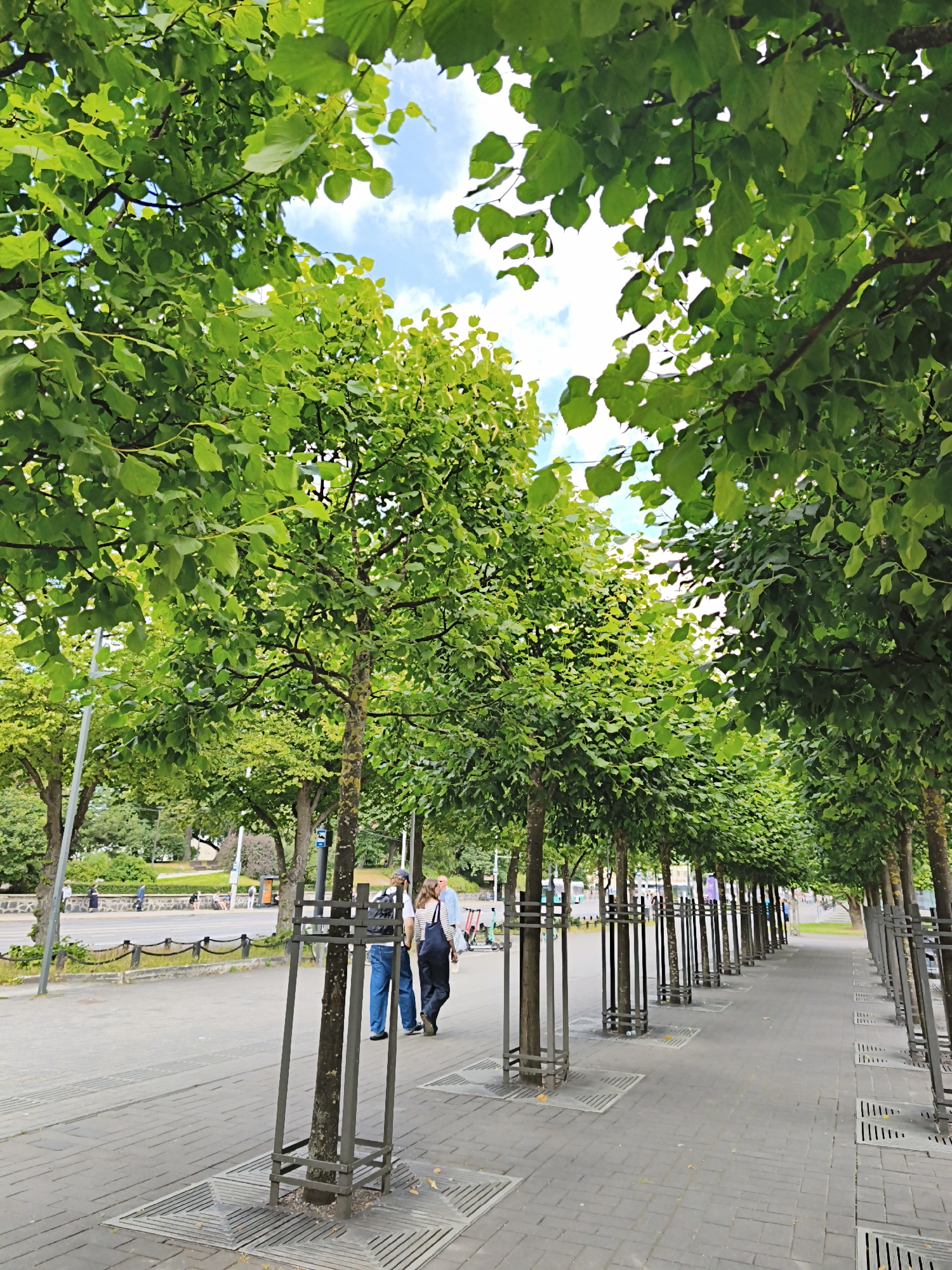 The image depicts a tree-lined pedestrian walkway in Tallinn, Estonia. In the foreground, two individuals walk away from the camera. The person on the left wears blue jeans and a white and black striped shirt. The person on the right wears dark overalls and a white shirt. They are walking on a gray brick sidewalk. To the left of the sidewalk, a paved road is visible, with several parked electric scooters. A low metal fence separates the road from a grassy area with more trees and distant buildings. The walkway is lined with evenly spaced trees, each protected by a metal grate around its base and a metal cage around its trunk. The trees have dense green foliage that partially obscures the bright blue sky with scattered white clouds. In the background, several other people are walking along a path further away, and traffic is visible on a road beyond the grassy area.