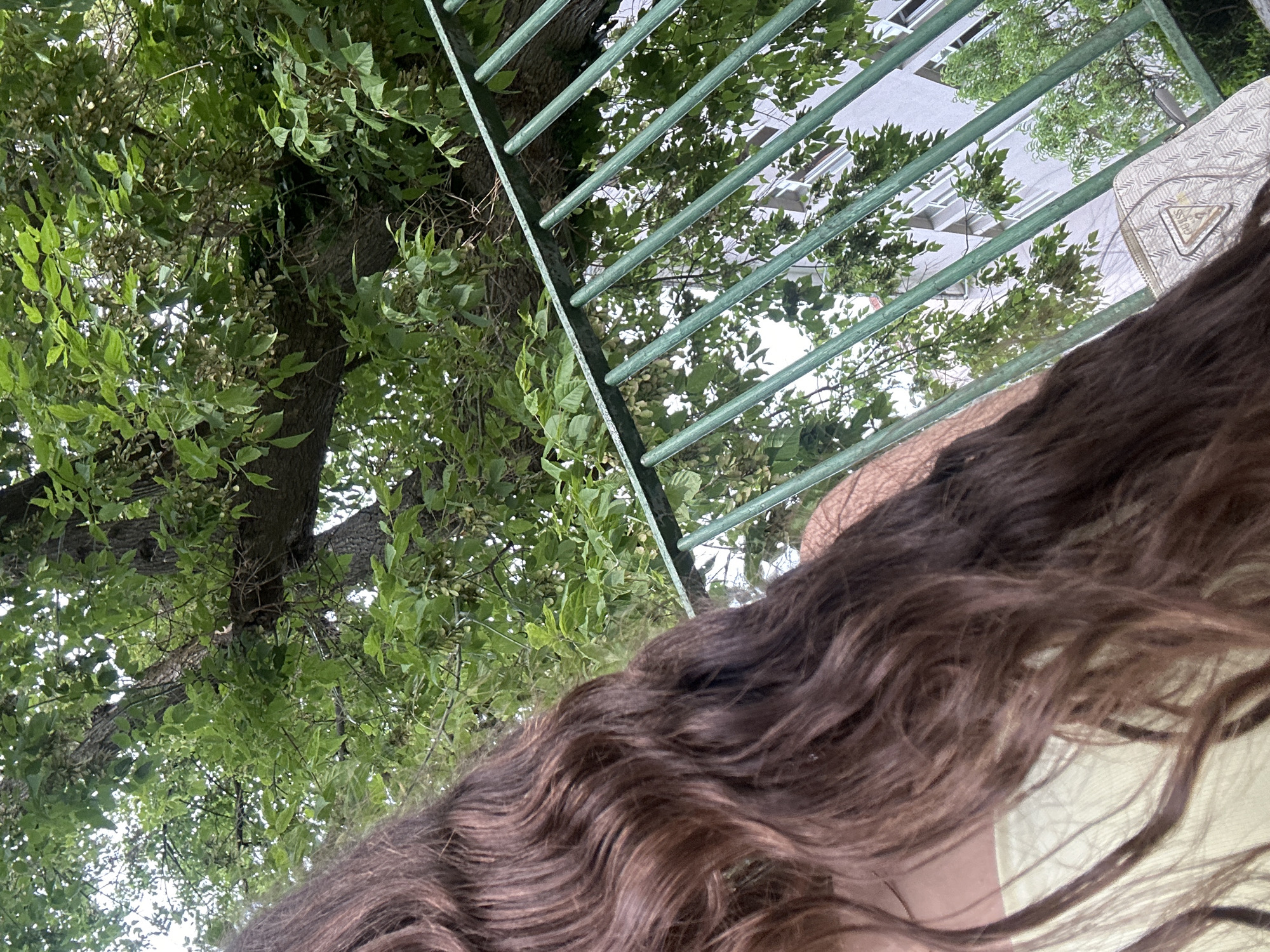 An outdoor, medium-shot, eye-level, slightly high-angle, daylight, portrait-oriented photograph shows a young woman’s long, wavy, brown hair in the foreground, covering the left side of the frame. She is wearing a light yellow top. Behind her, a dark green metal fence with vertical bars separates the foreground from the background. Beyond the fence, lush green foliage from a large tree fills the upper portion of the frame. The lower right background reveals a pale building with multiple windows, suggesting an urban setting. To the right of the building, a lighter green tree can be seen. A small, light-colored clutch bag with a repeating geometric pattern and a triangular "GUESS" logo is visible in the lower right quadrant, resting on the ground or a surface behind the fence. The scene is likely set in a park or a yard adjacent to a building in the city of Shumen, Bulgaria, given the context provided.
