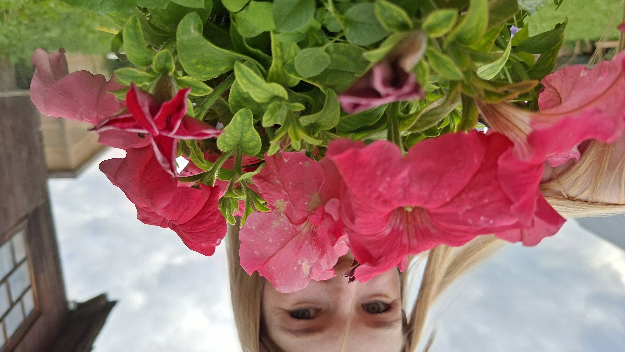 The image shows a close-up of vibrant pink petunias being held by a blonde person, whose face is partially obscured by the flowers. The person's eyes and a hint of their smile are visible. In the background, a rustic wooden building with a window is present, and a cloudy sky looms overhead. The scene appears to be outdoors, possibly in a rural or suburban setting, and given the context provided, it is in the city of Bolshoy Bukor, Russia. The focus is on the flowers and the person's interaction with them, creating a soft and naturalistic feel.