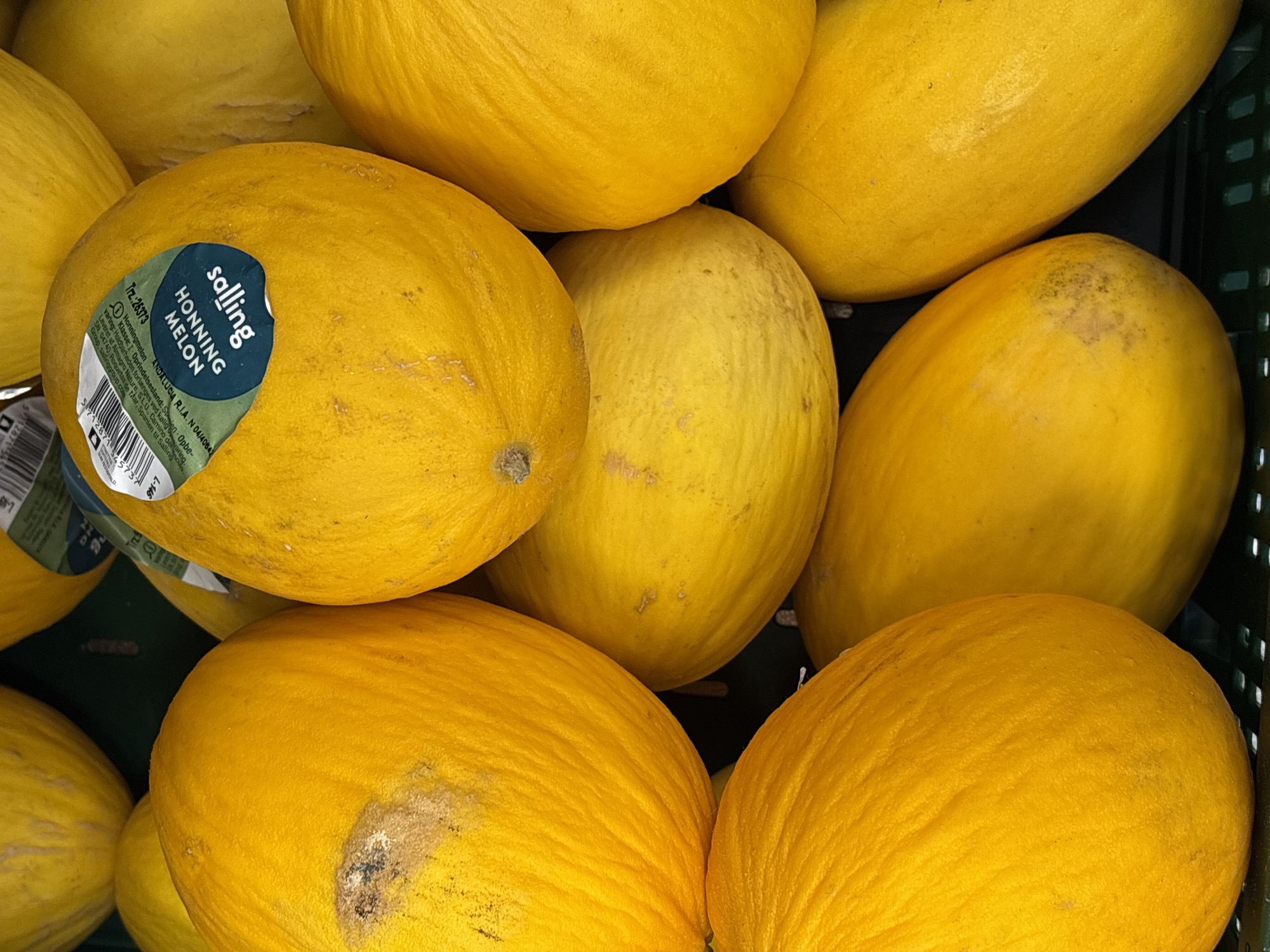 A close-up, overhead shot captures a pile of bright yellow melons in a dark green plastic crate. A blue and green sticker with white text is adhered to the front of one melon, reading "salling HONNING MELON". The melons have a netted texture and appear ripe, with some minor blemishes on their surfaces. The lighting is bright and even, highlighting the vibrant color of the fruit. This scene is located in the city of Søborg, Denmark.