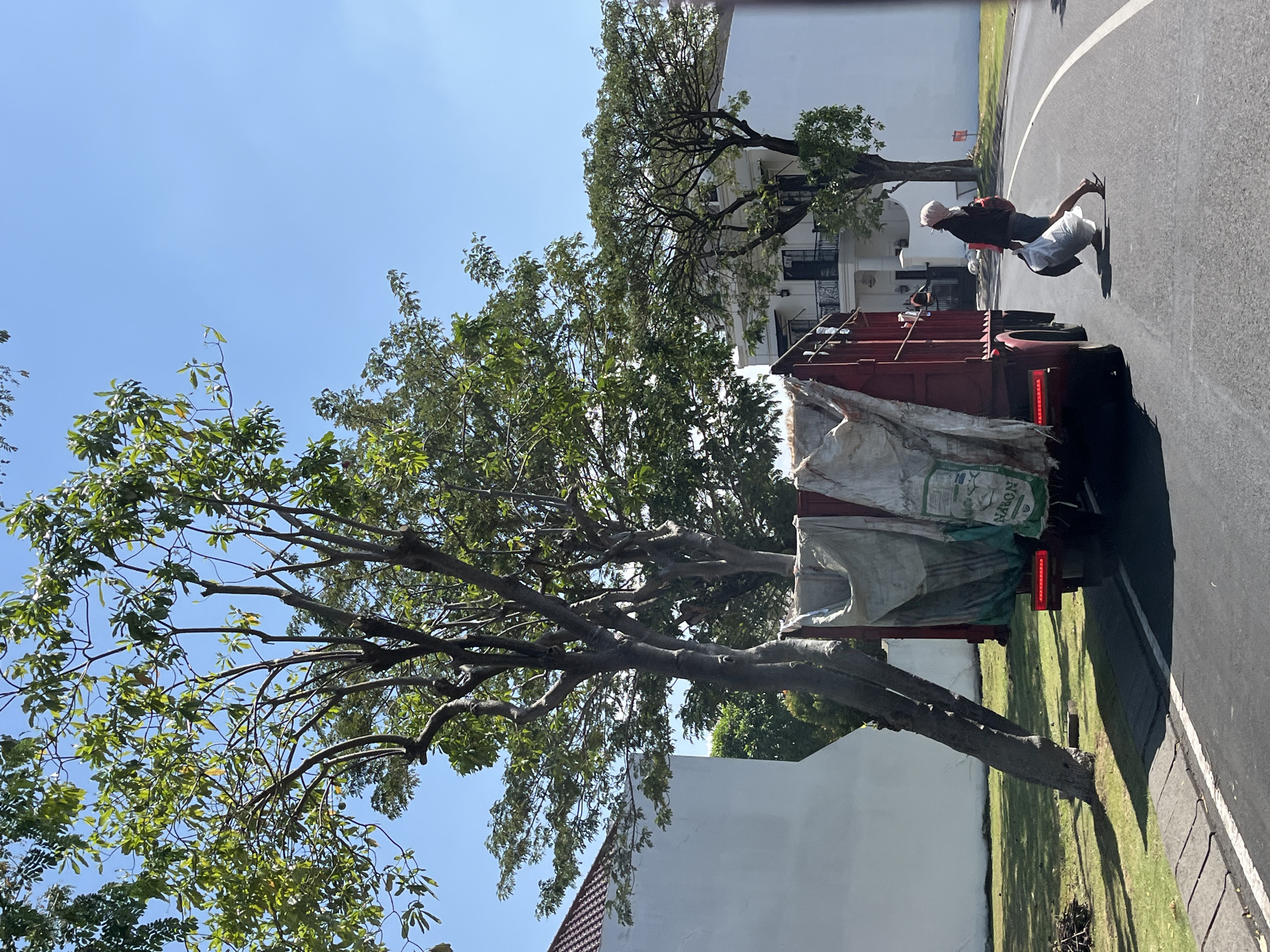 In Entalsewu, Indonesia, a person is crossing a paved road, carrying two large white plastic bags. The person is wearing a dark jacket, shorts, and a light-colored head covering, and appears to be wearing sandals. They are walking in front of a large, dark red truck that is parked or moving slowly on the road. The truck has its rear brake lights illuminated and is covered with large, light-colored tarps. In the background, there are white buildings with balconies and tiled roofs, and several large trees with green foliage. The ground is covered with a neatly manicured lawn. The sky is clear and blue.