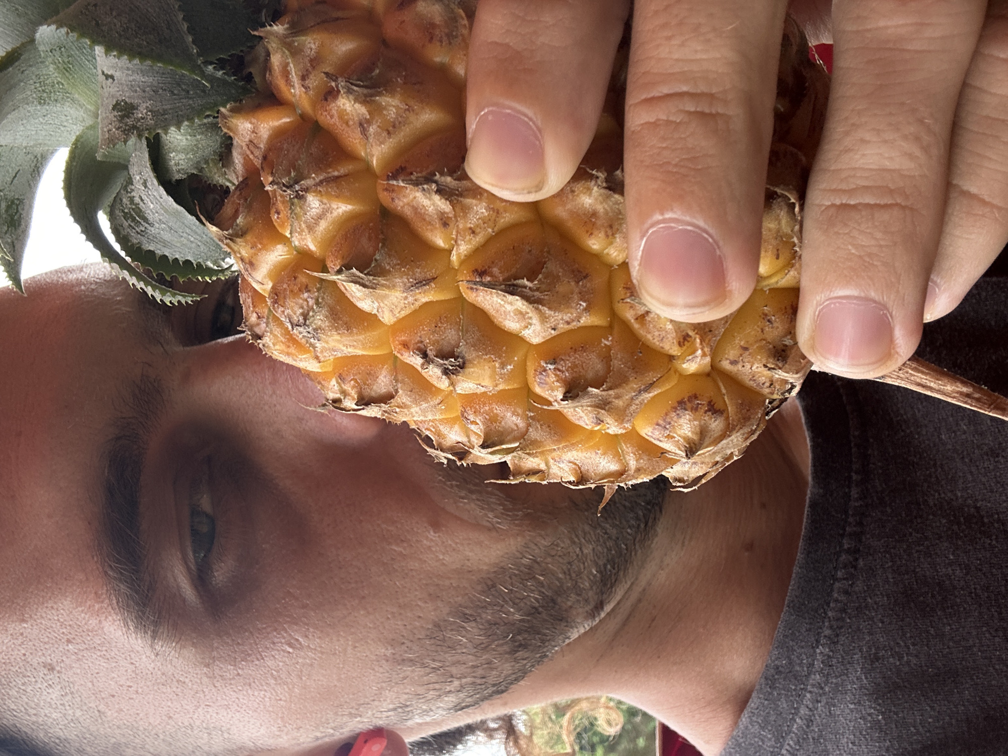 The image shows a close-up of a person holding a small pineapple up to their face, obscuring a portion of it. The person has dark hair and a light complexion, with a visible beard and stubble. They are wearing a dark t-shirt. Their right hand is holding the pineapple, with their thumb and index finger visible on the fruit's textured surface. The background is out of focus, but appears to be outdoors with some greenery. The image does not provide any information about the location being in Vân Du Commune, Vietnam.