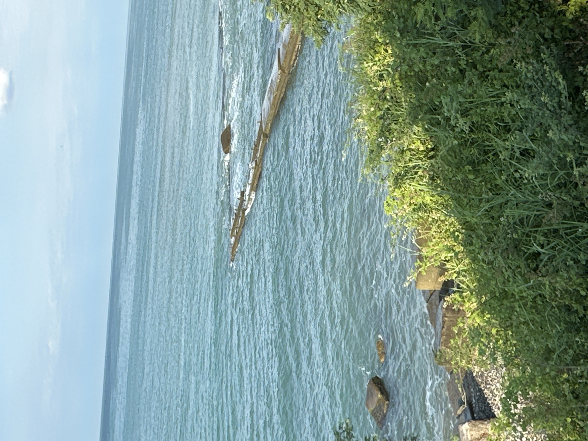 The image captures a scenic view of the Black Sea from a vegetated embankment in Sochi, Russia. A long, narrow, concrete structure, possibly a pier or breakwater, extends into the turquoise water, with waves gently lapping against it. In the foreground, lush green bushes and tall grasses dominate the scene, interspersed with some exposed rocks and gravel. A few rocks are visible in the shallow water near the shore. The sky is a soft blue with a few wispy clouds, indicating fair weather. The overall impression is one of natural beauty and tranquility.