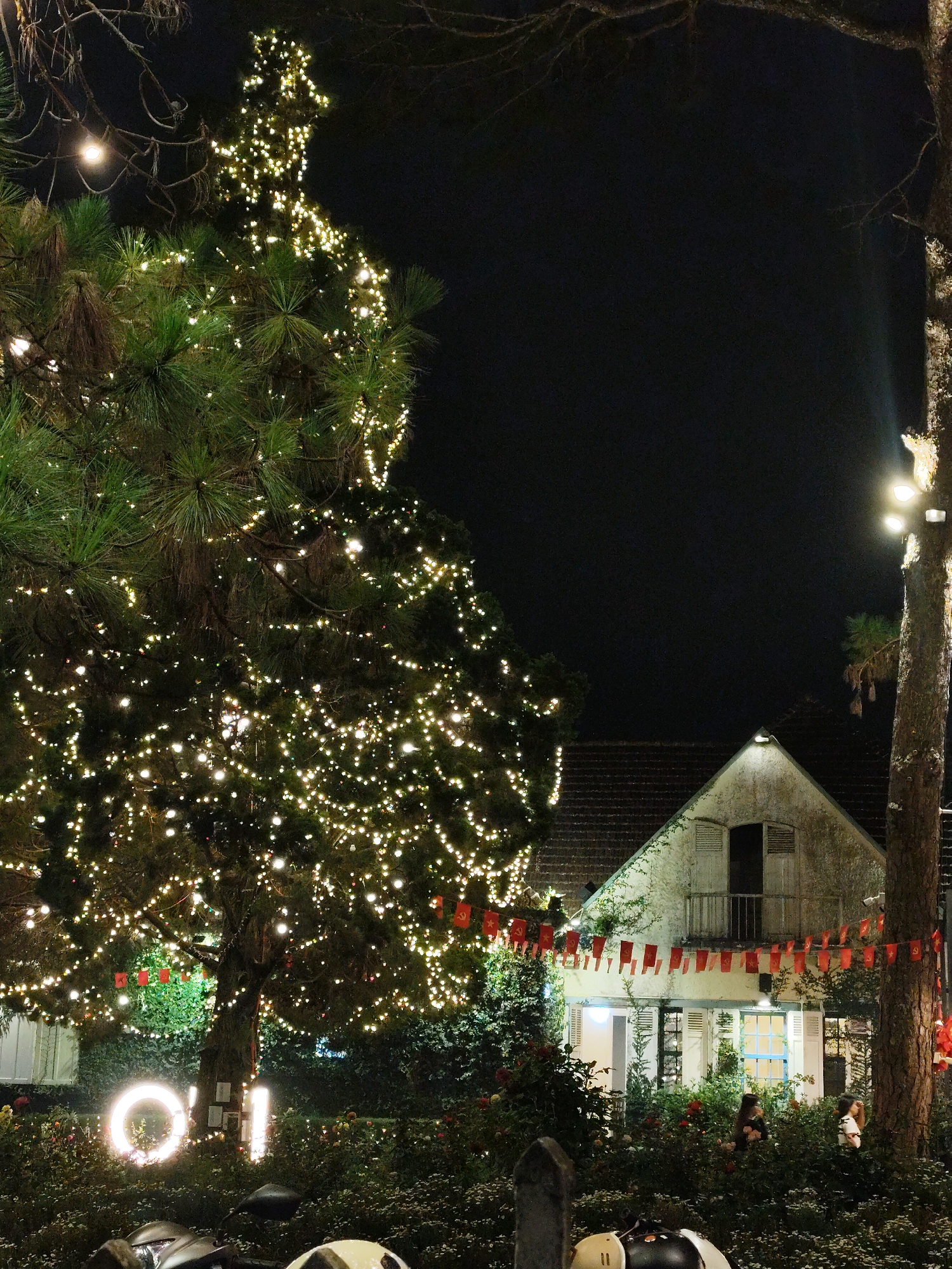At night in Da Lat, Vietnam, a brightly lit tree stands next to a two-story building with a balcony. Red flags with symbols hang from the tree to the building. A brightly lit sign reading "O'I" is in front of the tree. Motorcycles are parked in the foreground. Bushes surround the building and tree, and people are standing by the building.