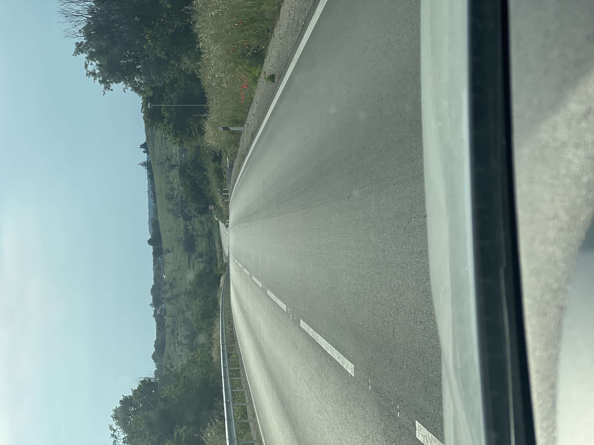 The image depicts a rural or semi-rural road scene in Tsarkva, Bulgaria, captured from the interior of a vehicle looking forward. The bottom portion of the image shows the top of a vehicle's dashboard or windshield frame.
The asphalt road, marked with a dashed white centerline and solid white shoulder lines, appears to ascend gently and curve slightly into the distance. The road surface is grey and shows minor imperfections.
To the left of the road, a silver metal guardrail runs parallel to the pavement. Beyond the guardrail, dense green foliage gives way to rolling hills covered in lush green grass and scattered trees, predominantly deciduous. Several small, light-colored buildings are visible in the mid-ground on these hills.
To the right of the road, a strip of tall, dry, light-brown grass and weeds lines the shoulder. Within this vegetation, several clusters of red poppies are visible. White and red striped marker posts are spaced along the roadside. Further back, green trees and shrubs are present, including a slender utility pole topped with a black fixture. Similar green hills with distant structures are visible beyond the immediate roadside vegetation.
The sky is a pale blue, appearing hazy and bright, indicating daytime conditions. No people or animals are visible in the scene.