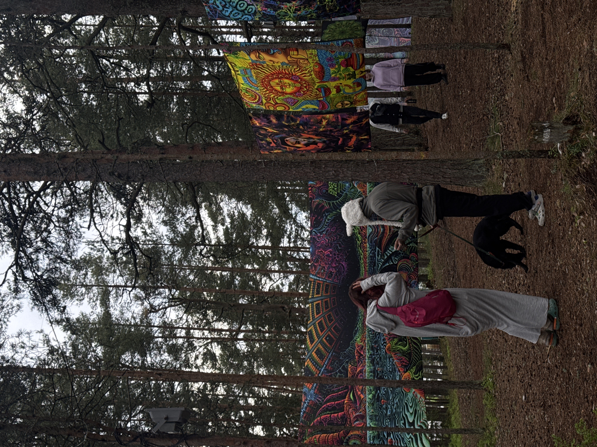The scene is set in Luzhki, Russia, in a forest clearing with tall, thin trees. Several psychedelic tapestries are strung between the trees, creating a colorful, almost hallucinatory effect.
Four people are visible. One woman is wearing a grey robe with a pink bag. An older man, wearing a grey jacket and a white hat, is walking a black dog on a leash. Two other figures are in the background, one wearing a light purple sweatshirt and the other a black and white vest.
The ground is covered in fallen leaves and pine needles. The sky is overcast, casting a soft light over the scene. The dominant colors are greens and browns of the forest, interspersed with the vibrant colors of the tapestries.