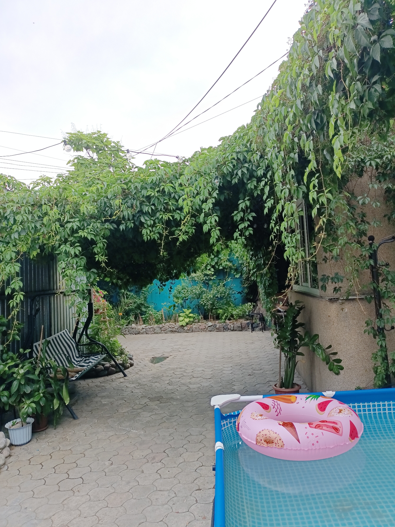The image depicts a backyard scene in Almaty, Kazakhstan, featuring a small above-ground swimming pool with a pink inflatable ring decorated with various food items like donuts, ice cream cones, and watermelon slices. The pool is situated on a paved patio area. To the left, a black metal swing set with a striped cushion is visible, surrounded by potted plants. The background is dominated by a building covered in lush green ivy, creating a natural canopy over the patio area. Further back, a blue fence and more greenery suggest a garden. Overhead, power lines crisscross the sky, and decorative lights are strung among the vines. The overall impression is one of a relaxed, summery outdoor space.