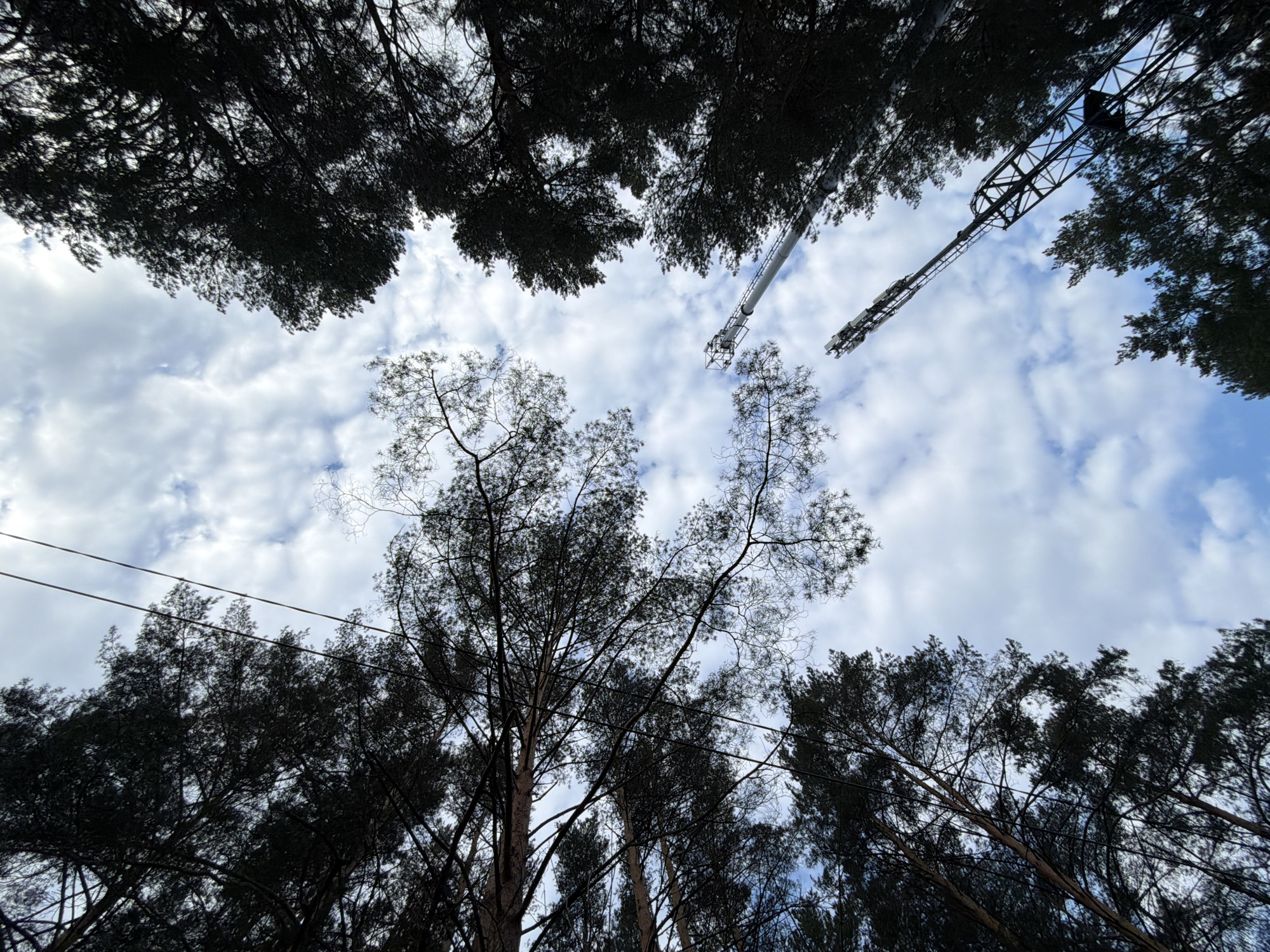 The image presents an upward-looking view into the canopy of a forest or wooded area in Chaikovsky, Russia, against a partially cloudy daytime sky. The primary subjects are the dark, silhouetted branches and needles of numerous coniferous trees, framing the upper and lower sections of the photograph.
The sky, visible through the gaps in the foliage, is a mixture of light blue with scattered white cumulus clouds, suggesting partly cloudy weather. Extending into the sky from the upper right are two distinct artificial structures. One appears to be a segment of a large, tubular or pole-like mast, while the other is a prominent lattice-style communication tower, equipped with multiple antenna arrays. Both structures are seen from below, ascending diagonally across the frame. Additionally, thin power lines or cables stretch horizontally across the middle-left portion of the image, running between the tree branches.
The strong backlighting from the sky casts the trees into deep shadow, creating a high-contrast, silhouetted effect. No people or specific activities are taking place; the scene captures a static landscape view. No visible text is present in the image.