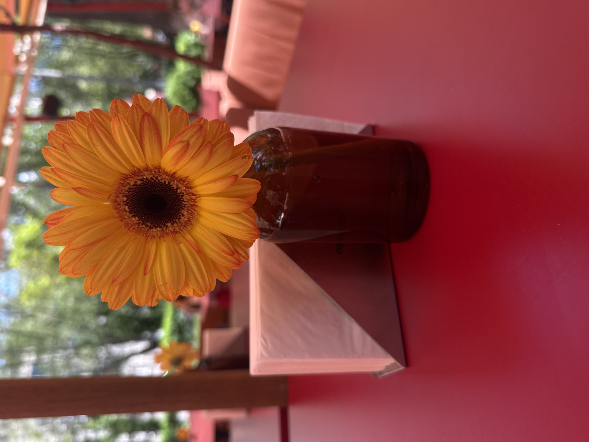 A medium shot shows an orange gerbera daisy in a brown glass bottle on a red surface. A stack of white napkins lies beneath the bottle. The background shows a blurred scene of trees and buildings. The scene is likely located outdoors, possibly on a patio or balcony, with a view of Yerevan, Armenia.