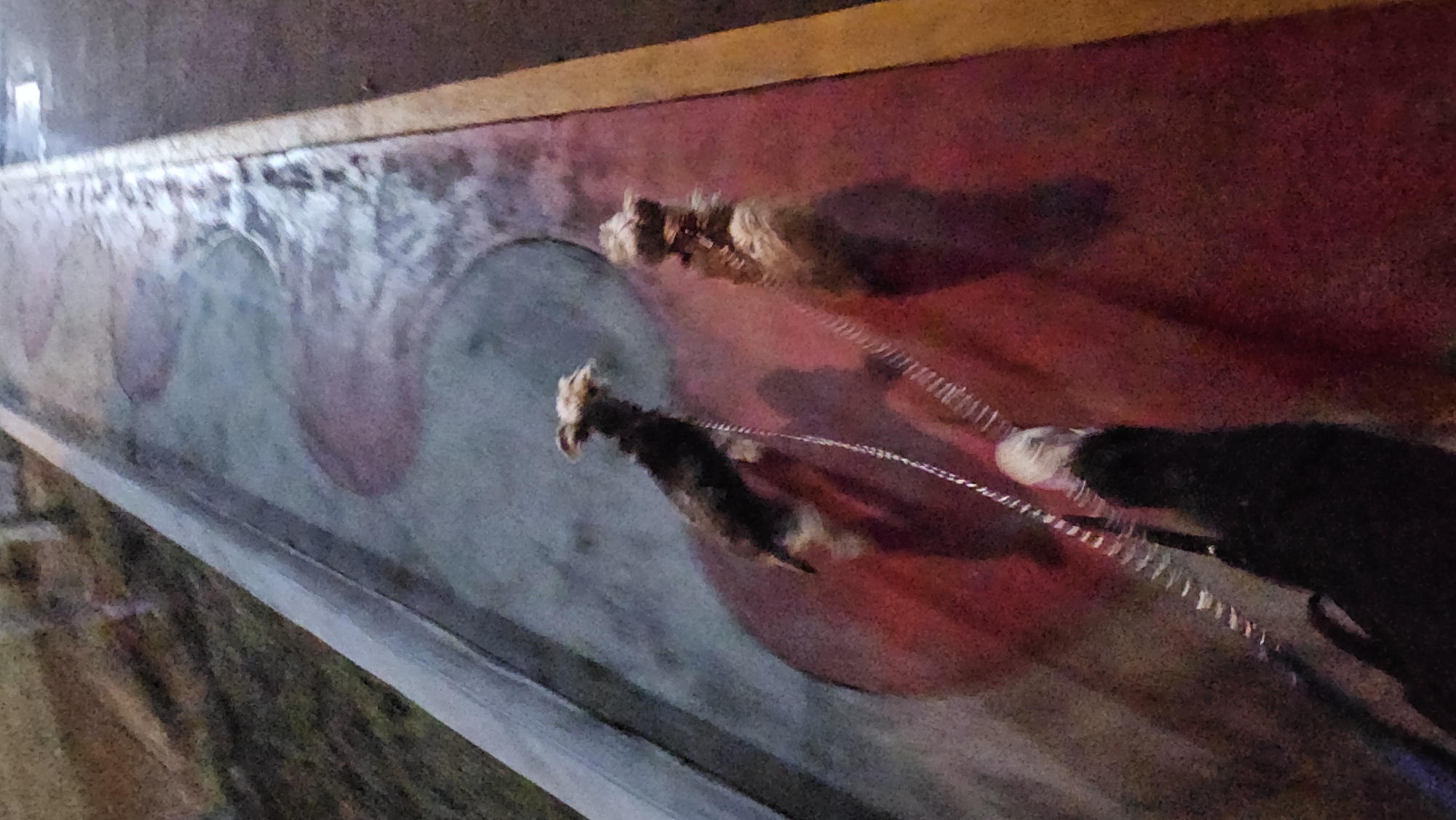 The image shows a detail of a mural in San Bernardino Tlaxcalancingo, Mexico. Three figures of goats or similar animals are depicted on a wall with a background of red and grey abstract patterns. Each animal is connected to the next with what appears to be a chain or rope. The wall has a wooden border at the top, and a metal railing runs along the bottom. The lighting is dim, casting shadows on the mural.