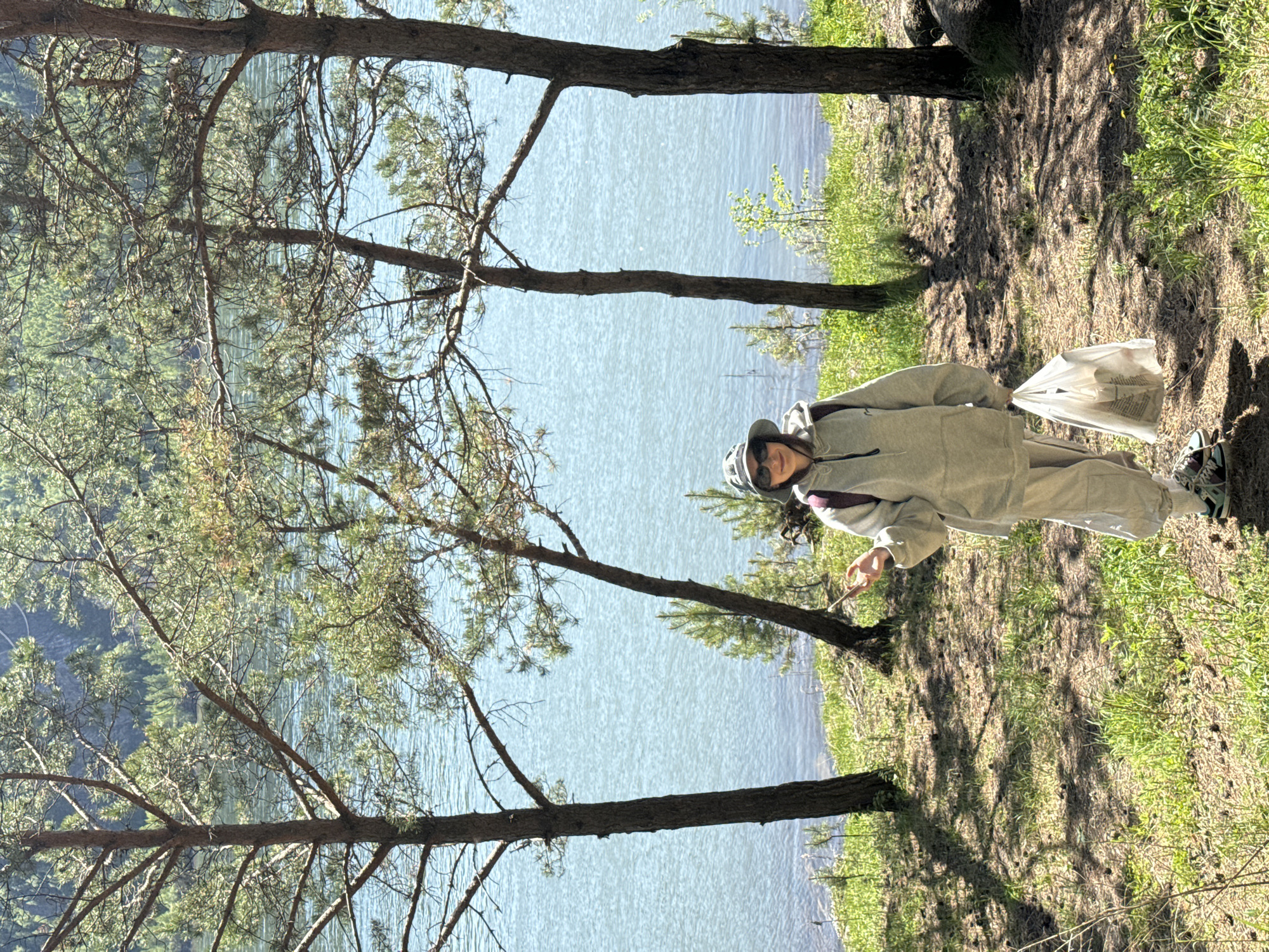 The image portrays a young woman standing on the grassy bank of a body of water, likely a lake or river, set against a backdrop consistent with the natural landscapes of Krasnoyarsk, Russia. The woman is centrally positioned, looking towards the camera with a relaxed expression, possibly a slight smile. She is dressed in a casual light grey hooded tracksuit, a bucket hat, and sunglasses, completing her outfit with sneakers. In her right hand, she holds a white plastic bag.
The scene is characterized by a calm, light blue body of water that spans the middle ground, bordered by lush green grassy banks. Several tall pine trees with dark trunks and green needles frame the left side of the image, casting distinct shadows on the sun-drenched ground, which is scattered with pine needles. More distant green trees are visible across the water, suggesting a forested environment.
The bright sunlight and pronounced shadows indicate a clear, sunny day, likely mid-morning or afternoon. The overall atmosphere is serene, depicting an individual enjoying the outdoors. No legible text is visible on any items or clothing.