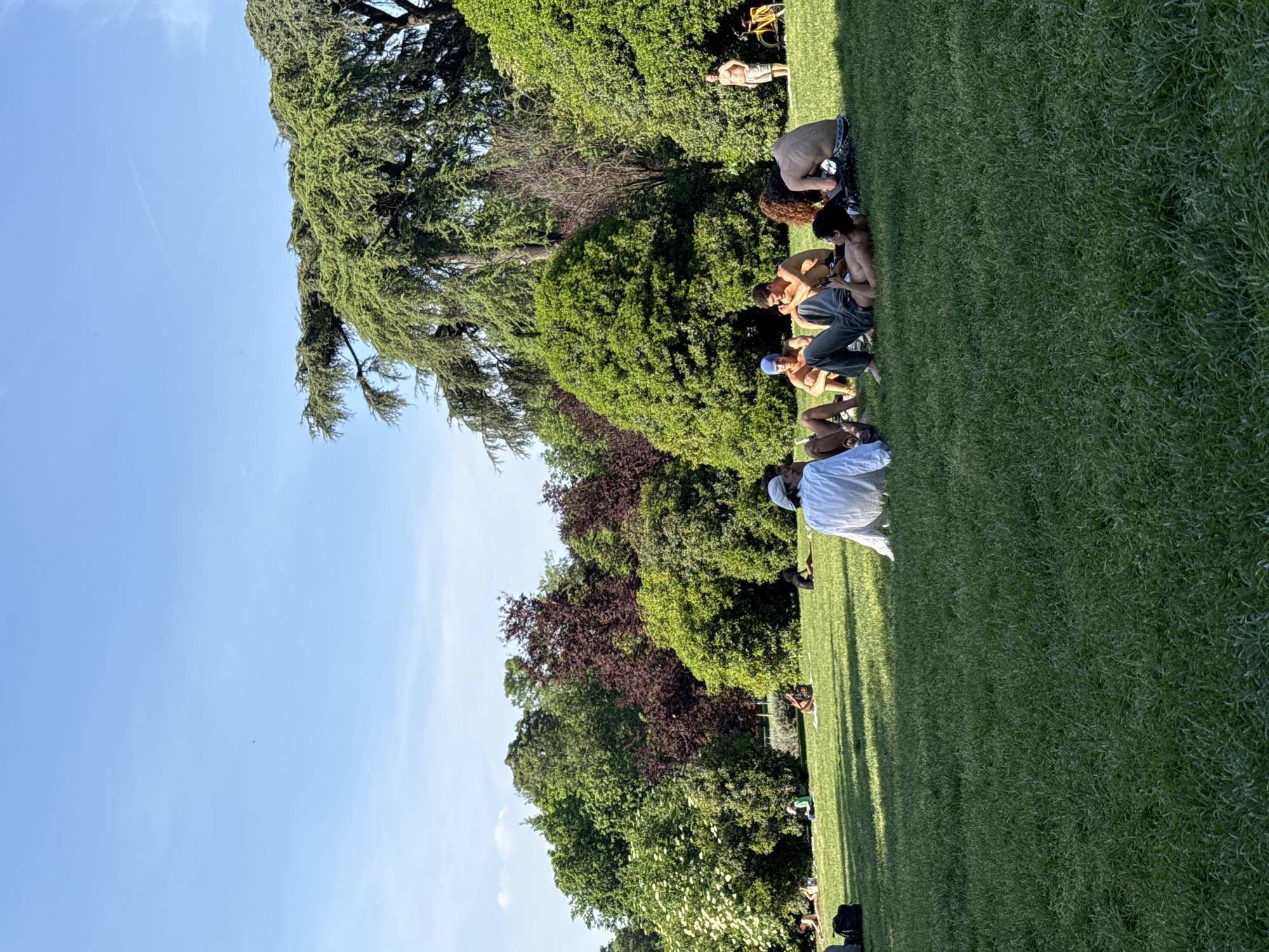 The image captures a vibrant, sunny outdoor scene in a park, likely in Milan, Italy. The setting features a wide expanse of lush green grass in the foreground and midground, with a diverse line of trees forming a dense backdrop, ranging from bright green deciduous trees to darker evergreens and some with reddish foliage. Above the trees, a clear, light blue sky with minimal cloud cover stretches across the upper portion of the frame.
Several people are scattered across the grassy area, engaging in leisurely activities. In the midground, a group of young men are gathered, mostly shirtless or in light clothing, sitting or crouching on the grass. One person is seen holding a mobile phone. Their relaxed postures suggest casual socializing or resting. Further in the background, near the treeline, other individuals are visible; one stands shirtless, another lies on the grass, and a yellow bicycle is partially obscured by the foliage. In the lower right foreground, the back of a person wearing a white shirt and a light-colored hat is visible, facing away from the viewer.
The bright sunlight casts distinct, relatively long shadows across the grass, indicating it is either late morning or late afternoon. The overall atmosphere is one of relaxation and enjoyment of a beautiful, clear day in a natural, park-like environment. There is no visible text in the image.