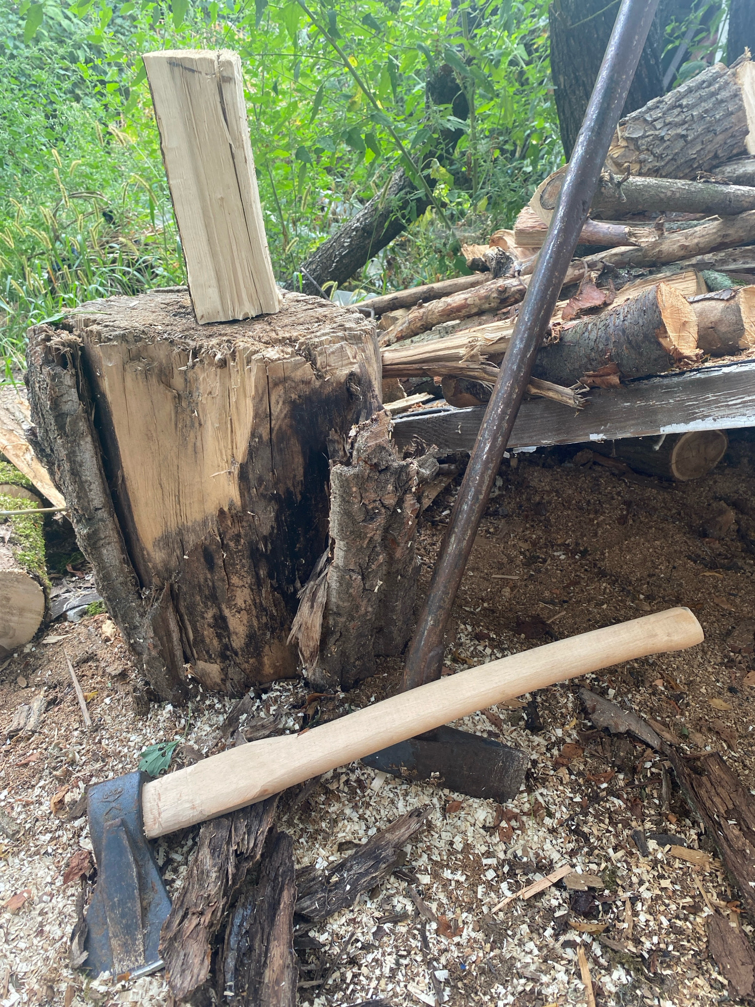 The image depicts an outdoor scene in Kniazhychi, Ukraine, likely in a wooded area or a yard with a woodpile. In the foreground, a splitting axe with a wooden handle lies on a bed of wood chips and debris. The axe head is dark and appears worn. Behind the axe, a large, rough-hewn tree stump stands prominently, with a single piece of split firewood balanced vertically on its top surface. The stump shows signs of age and repeated splitting. Further back, a pile of chopped firewood is visible, stacked on what appears to be a wooden structure. A long, dark metal pole, possibly part of a tool or a stake, leans against the woodpile. The background consists of lush green foliage and trees, suggesting a natural or semi-natural environment. The ground is covered with sawdust, wood chips, and organic debris. There are no people visible in the image. The overall scene suggests recent or ongoing wood-cutting activities.