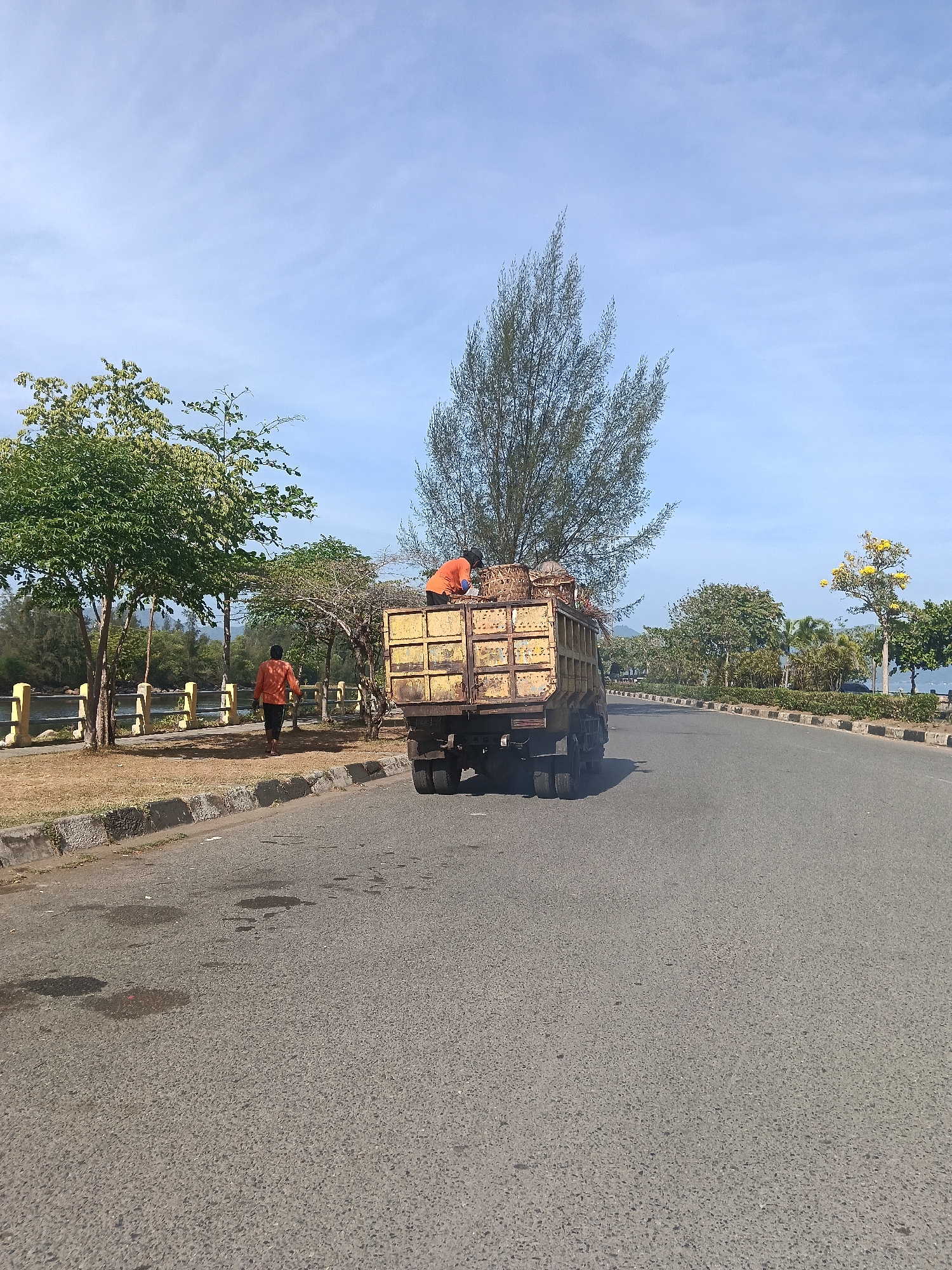 In Banda Aceh, Indonesia, a yellow dump truck filled with what appears to be organic waste or debris is driving on a paved road. Two individuals, both wearing orange shirts, are visible. One is in the back of the truck, seemingly tending to the load, while the other is walking on the side of the road, some distance behind the truck. The scene is bordered by a grassy area and a body of water, likely a river or the sea, with trees and vegetation lining the opposite side of the road. The sky is clear and blue, suggesting a sunny day. The road has visible markings and a curb, indicating it is a public thoroughfare.