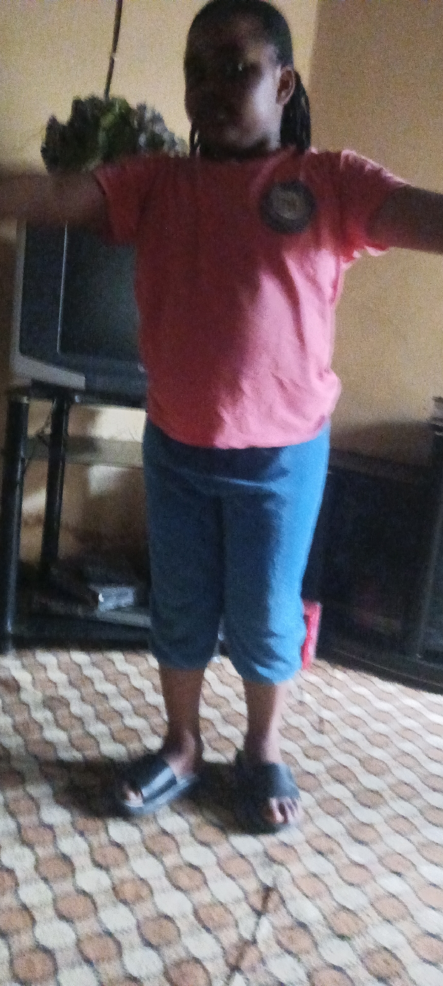 A girl is standing in a room with her arms outstretched. She is wearing a pink t-shirt and blue pants, and she is wearing sandals. The room has a patterned floor and there is a television on a stand behind her. There are two black stands and a red object near the stands. The city and specific location are unknown.
