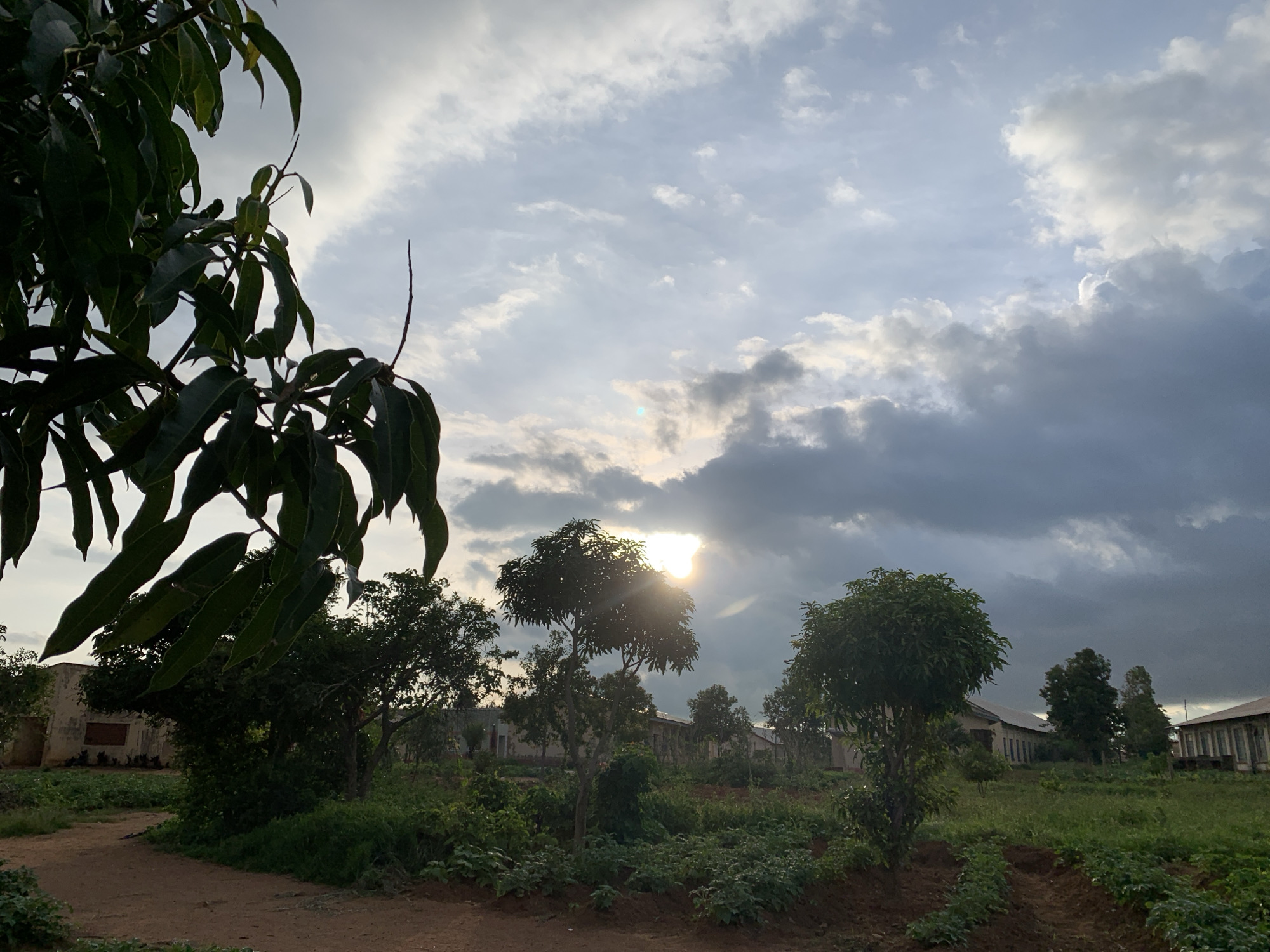 The image captures an outdoor scene in Kuru Karama, Nigeria, during what appears to be late afternoon or early evening. The sky is partly cloudy with the sun peeking through the clouds, casting a soft, diffused light. In the foreground, the branches of a large tree with dark green leaves hang into the frame from the left. The ground in the foreground is a reddish-brown dirt path.
Beyond the path, there is a cultivated area with rows of green plants, suggesting agricultural activity. Several trees are scattered throughout the landscape, some of which are silhouetted against the sky. In the middle ground and background, there are low-lying buildings with light-colored walls and what appear to be metal roofs or awnings. These structures seem to be arranged in a linear fashion. The overall environment is rural or semi-rural, characterized by vegetation, agricultural fields, and modest buildings. There are no people visible in the image.
