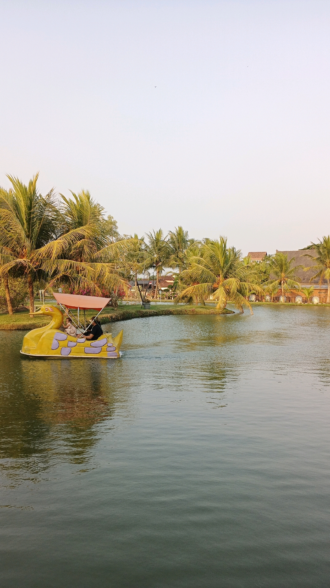 A bright, yellow swan-shaped paddleboat navigates a calm, dark green lake. Two individuals are visible in the paddleboat: one is operating the pedals, and the other is seated behind them. The paddleboat has a pink canopy providing shade. Surrounding the lake is lush greenery, characterized by numerous palm trees with golden fronds, suggesting a tropical or subtropical climate. In the background, there are several buildings with thatched roofs and arched windows, indicative of a resort or recreational area. The sky is a pale, clear blue with a few faint specks that might be birds. The water reflects the surrounding vegetation and sky, creating a muted, impressionistic effect. The scene appears to be set in Minggir, Indonesia, given the architectural style and vegetation.