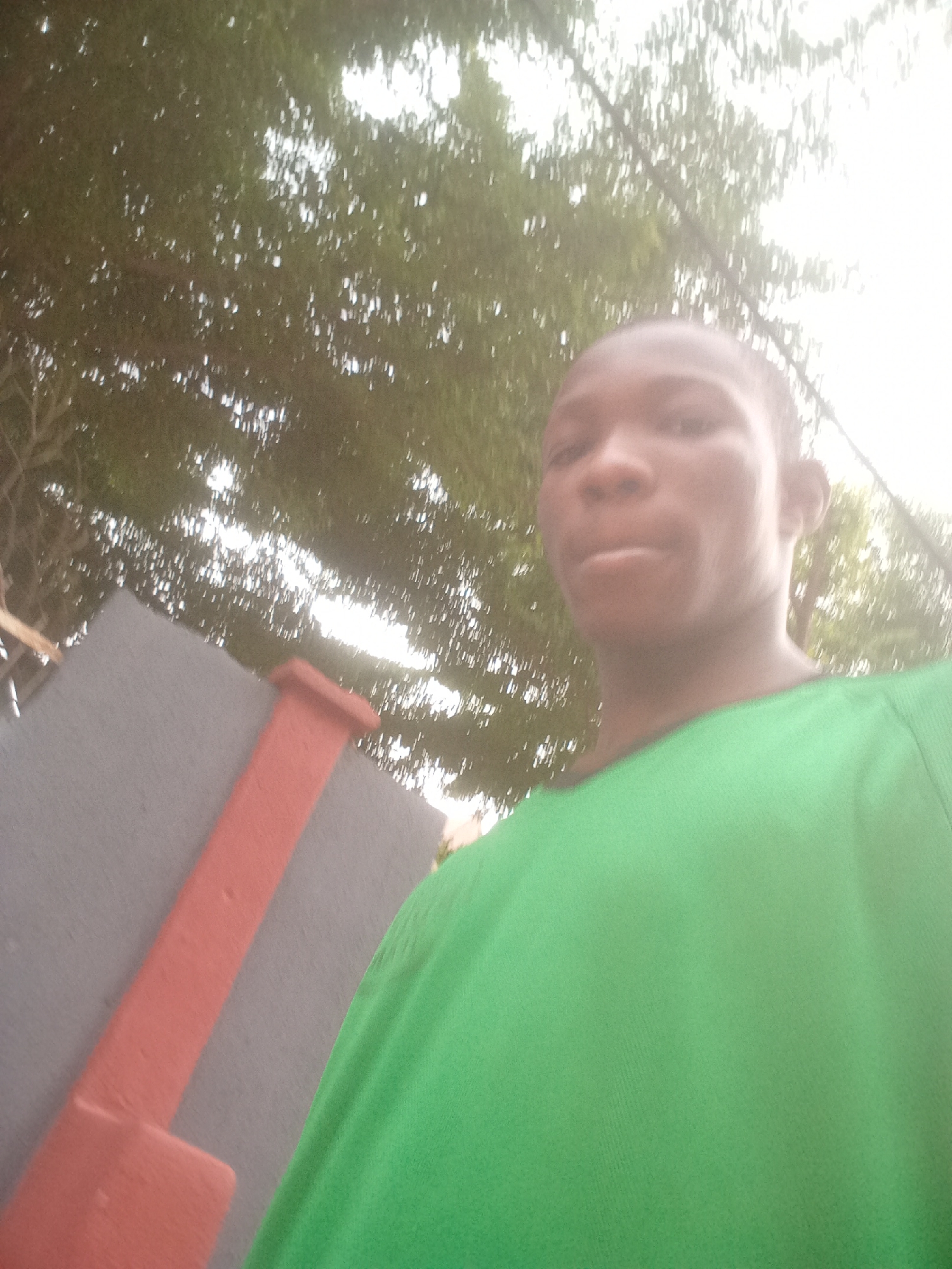 A young Black male, wearing a bright green shirt, is captured in a slightly tilted, outdoor selfie. He has a shaved head and is looking directly at the camera with a neutral expression. Behind him, out of focus, is the dense foliage of trees with dappled sunlight filtering through. To the left of the frame, a portion of a gray structure with a prominent red rectangular object is visible. The setting appears to be a residential or public area in Onitsha, Nigeria, possibly a street or a yard, given the presence of trees and architectural elements. The overall lighting suggests it is daytime.