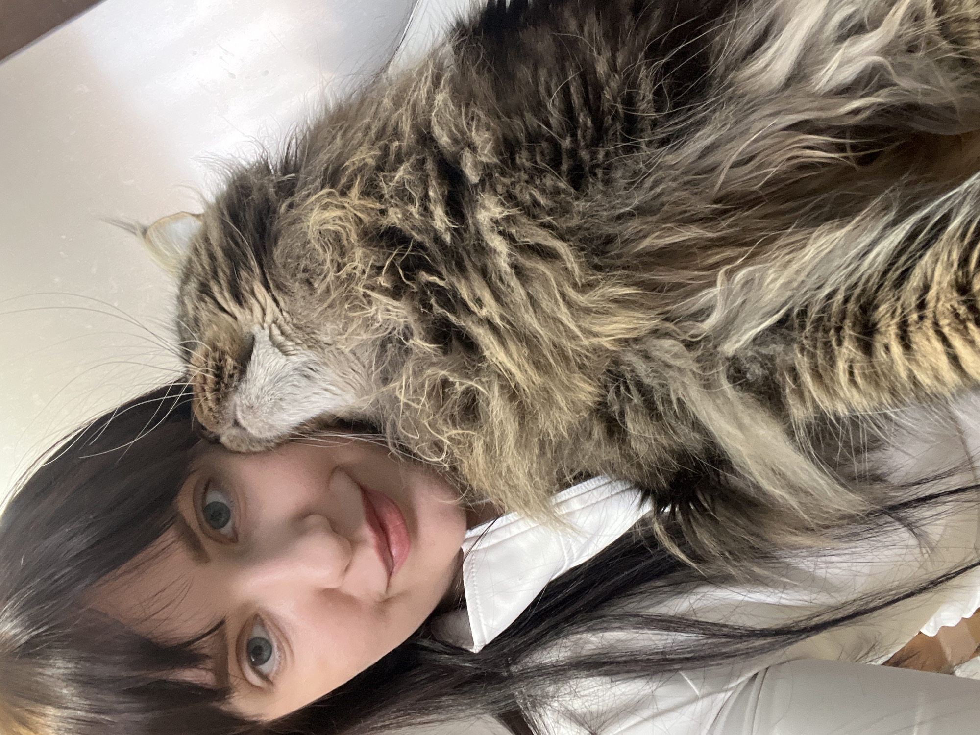 The image displays a close-up, high-angle view of a woman and a large, long-haired cat, appearing to rest together. The photograph is oriented sideways, with the subjects spanning horizontally across the frame.
The woman has dark, straight hair, light blue or grey eyes, and a pleasant, gentle expression as she looks directly at the camera. A soft, closed-mouth smile is visible. She wears a white collared garment, possibly a shirt or a jacket, visible around her neck and upper body.
Resting on top of the woman's head and partially draped over her dark hair is a fluffy, long-haired cat. The cat exhibits distinct tabby markings with a mix of brown, black, and lighter cream or grey fur, indicative of breeds like a Maine Coon. Its head is settled comfortably on the woman's scalp, with its eyes appearing closed or in a relaxed, sleepy state. The close proximity and the cat's posture suggest a strong bond and affection between the two.
The activity captured is an intimate moment of rest or companionship. The cat appears content and secure in its position, while the woman's expression conveys warmth and endearment.
The background is a uniform, light color, likely white or off-white, suggesting an indoor setting with minimal environmental details. There are no specific time of day or weather indications. No visible text appears in the image. The location context provided is Markovskiy, Russia.