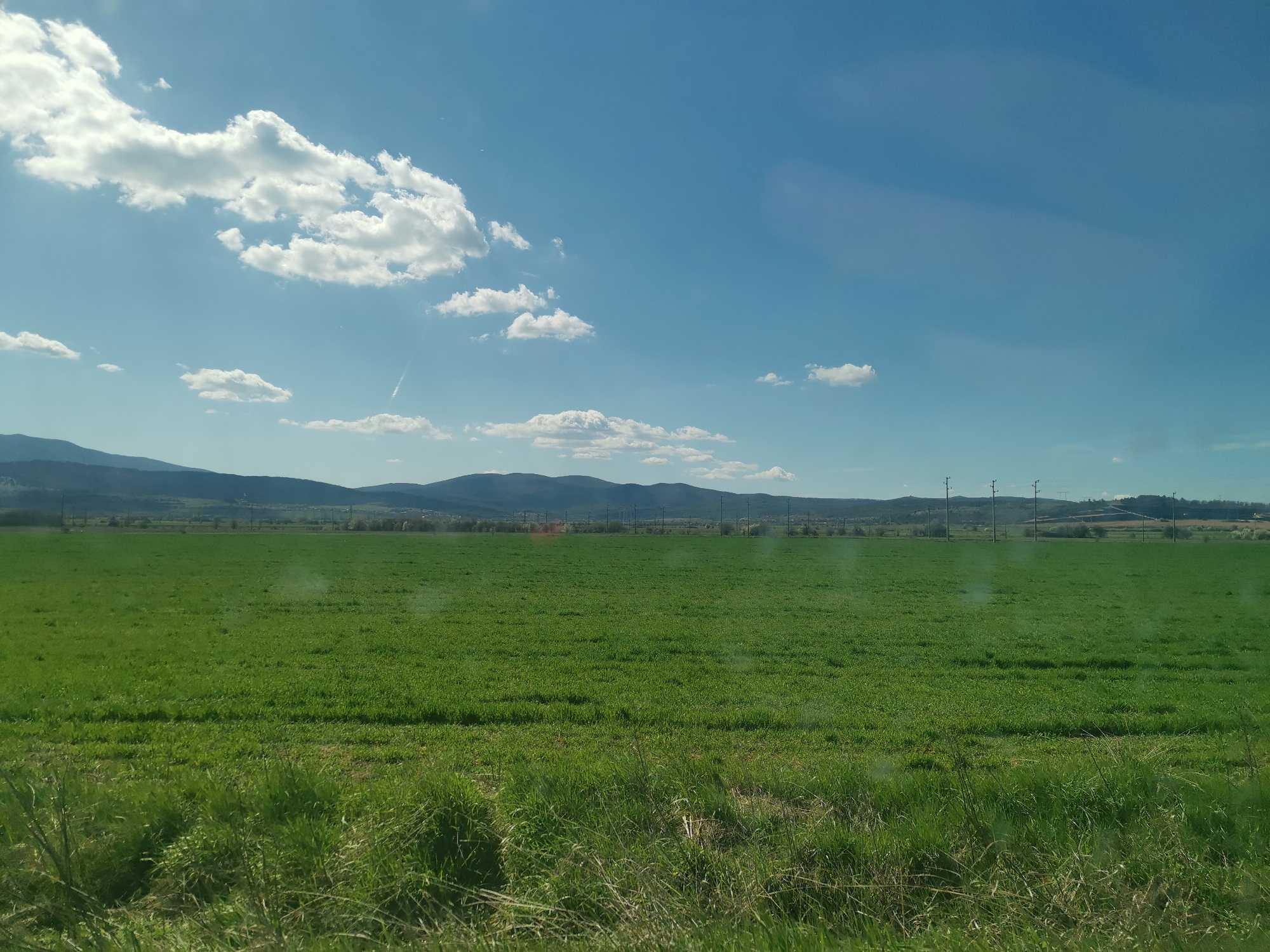 The image depicts a rural landscape in Verinsko, Bulgaria. A vast, lush green field occupies the foreground and middle ground. In the distance, a range of low mountains is visible against a bright blue sky dotted with white cumulus clouds. Power lines run across the middle distance. The foreground features taller grasses. The scene appears to be captured during daylight. No people are visible.