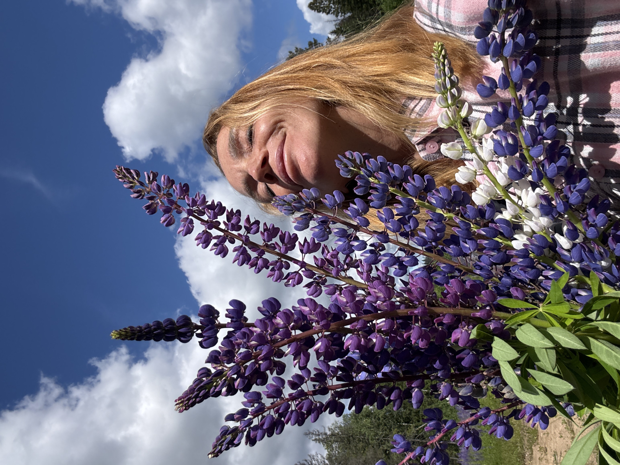 A woman is holding a bouquet of lupine flowers in front of her. She has blonde hair and is wearing a pink and white plaid shirt. She is smiling with her eyes closed. The background is a blue sky with white clouds and green trees. The location is Unknown, Russia.