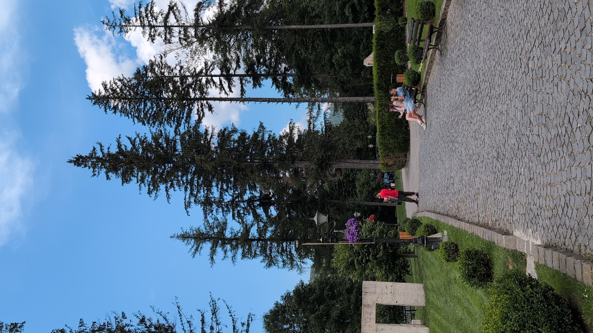 The image depicts a park scene in Bușteni, Romania, with tall conifer trees dominating the background under a bright blue sky with scattered white clouds. A paved cobblestone path winds through the park. On the path, a person in a red shirt is standing, facing away from the camera, and looking at their phone. Further down the path, a couple is seated on a wooden bench, appearing to be engaged in conversation. To the left of the path, a patch of manicured green lawn is visible, adjacent to a stone structure and several neatly trimmed bushes. Another wooden bench is placed on the right side of the path, unoccupied. The park environment suggests a tranquil outdoor setting.