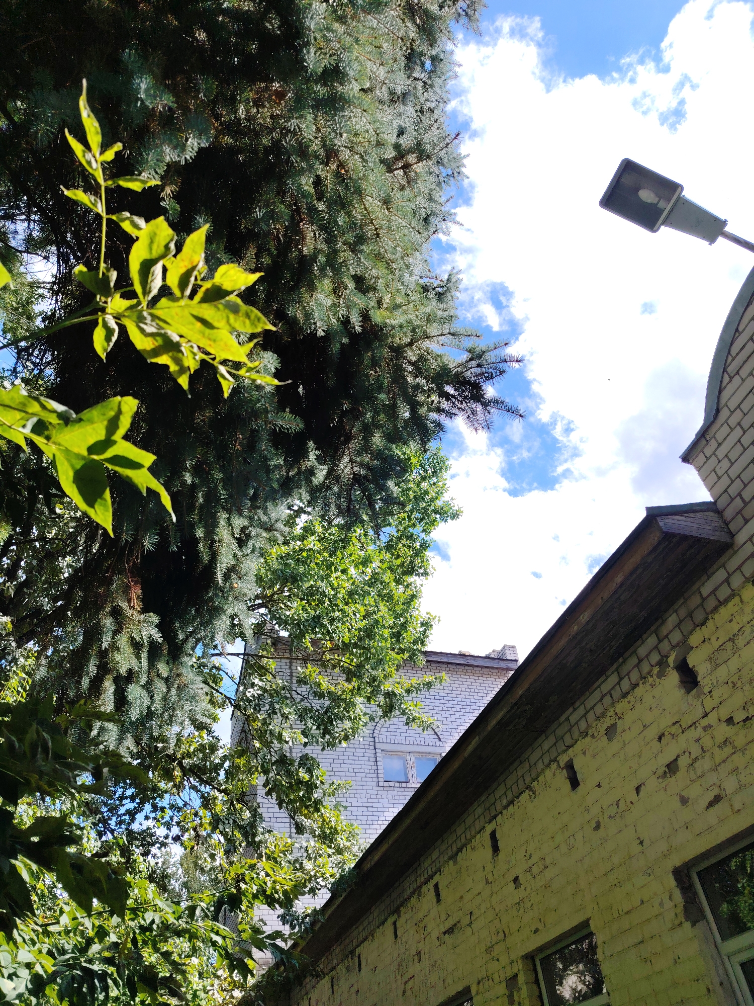 The image shows a low-angle view of trees and buildings against a bright, cloudy sky. In the foreground, large branches of a conifer tree dominate the left side of the frame, with some lighter green foliage from another plant in front. To the right, the side of a yellow-painted brick building is visible, showing signs of peeling paint and several dark rectangular openings. A darker, pitched roof section runs along the top of this building. Further back, a lighter-colored brick building with visible windows is partially obscured by trees. A street lamp with a visible bulb is mounted on a pole above the yellow building, on the right side of the image. The scene appears to be in an outdoor urban or semi-urban environment, possibly a courtyard or an area between buildings with significant tree cover. The location is identified as Konakovo, Russia.